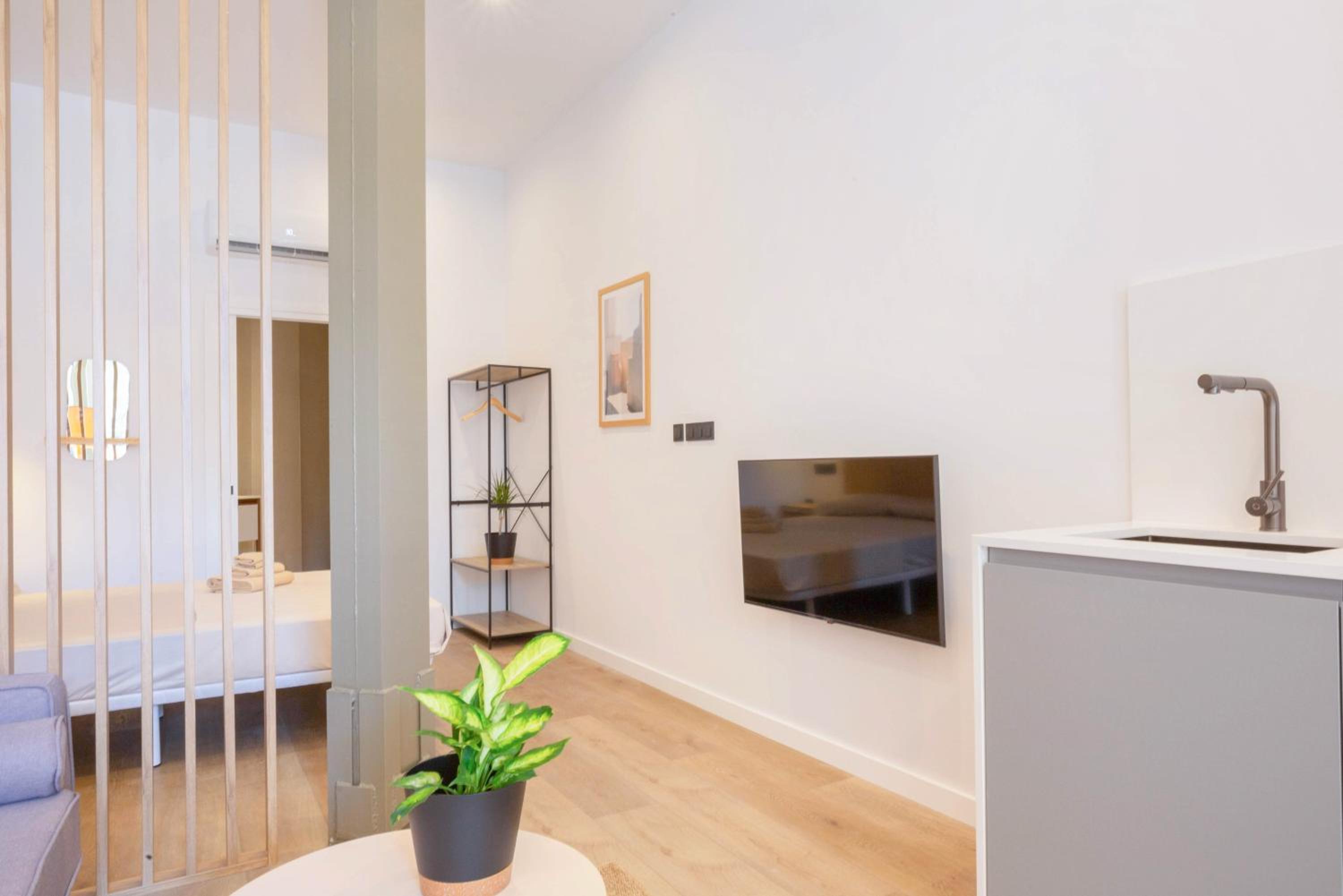 Apartamento de Lujo de Una Habitación