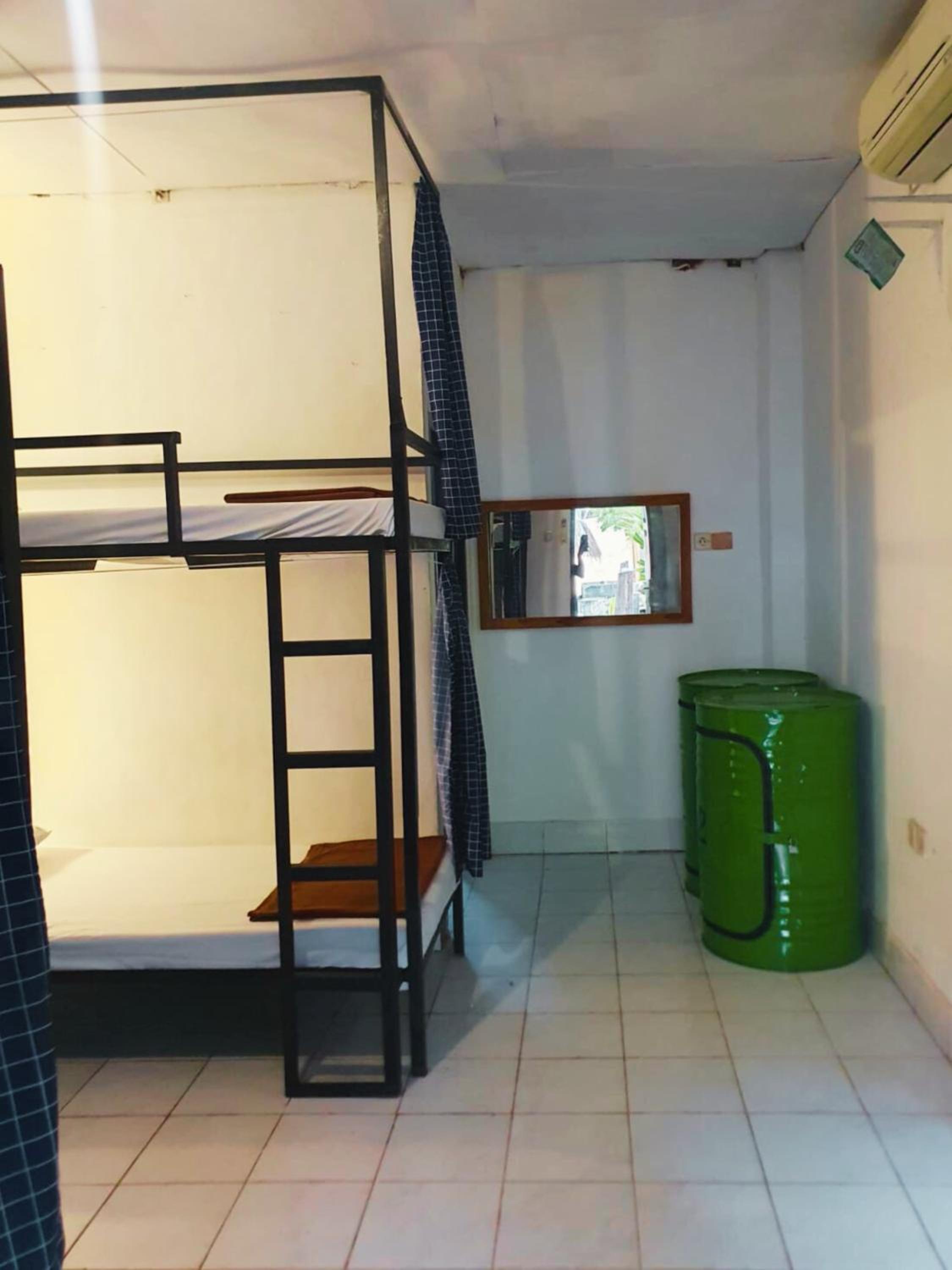 Bunk Bed In Mixed Dormitory Room photo 1