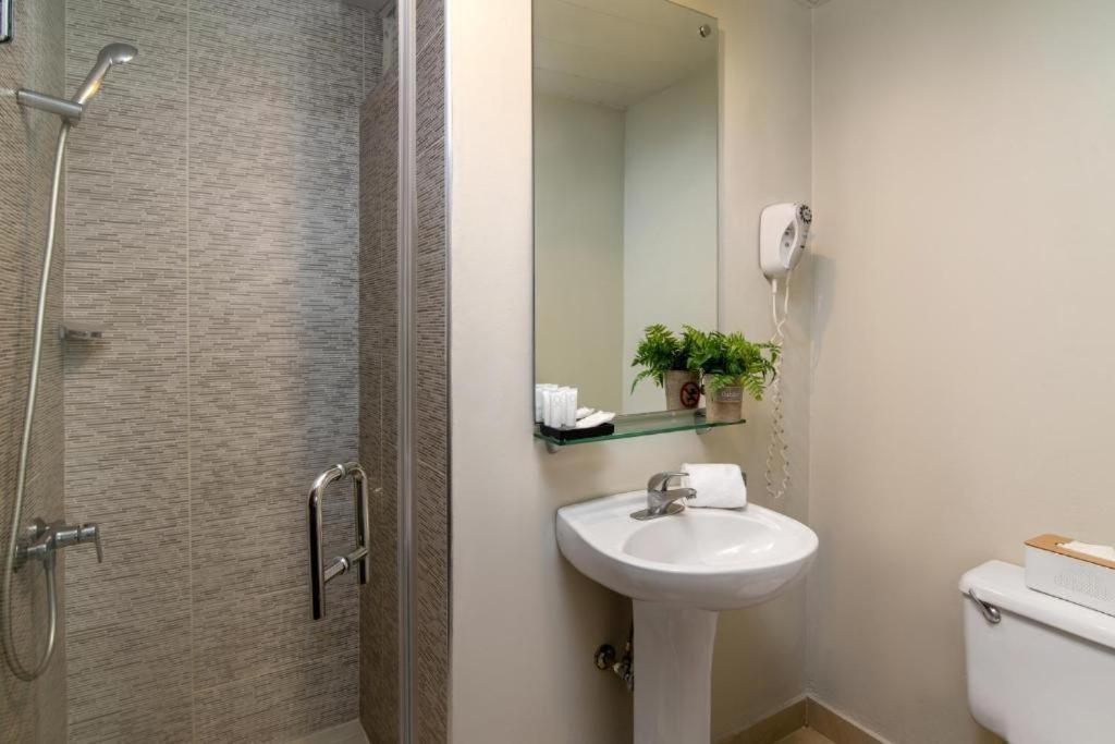 Executive Room - Photo 5