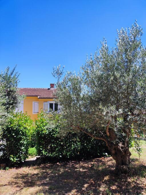 Three-Bedroom Villa photo 2