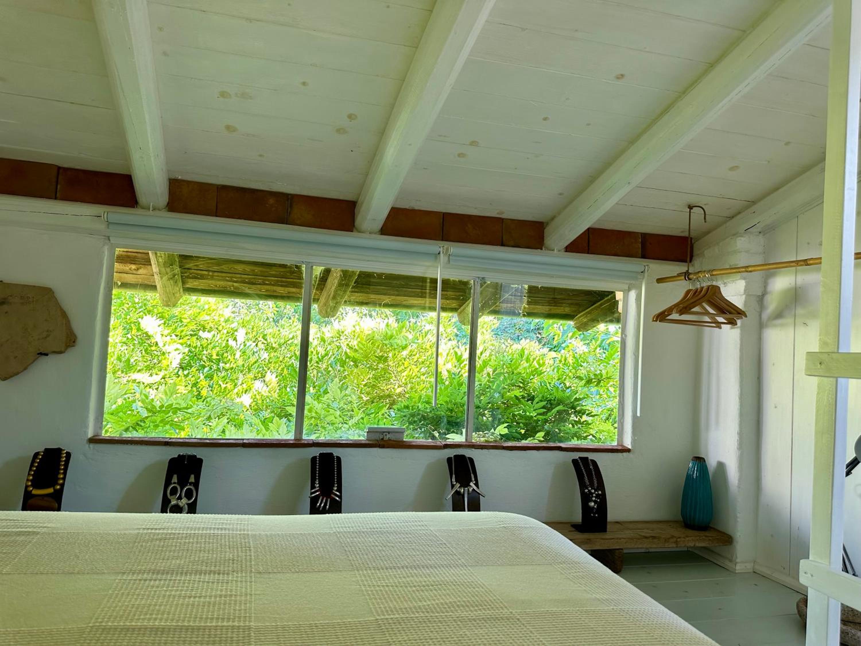 Double Room With Garden View photo 3
