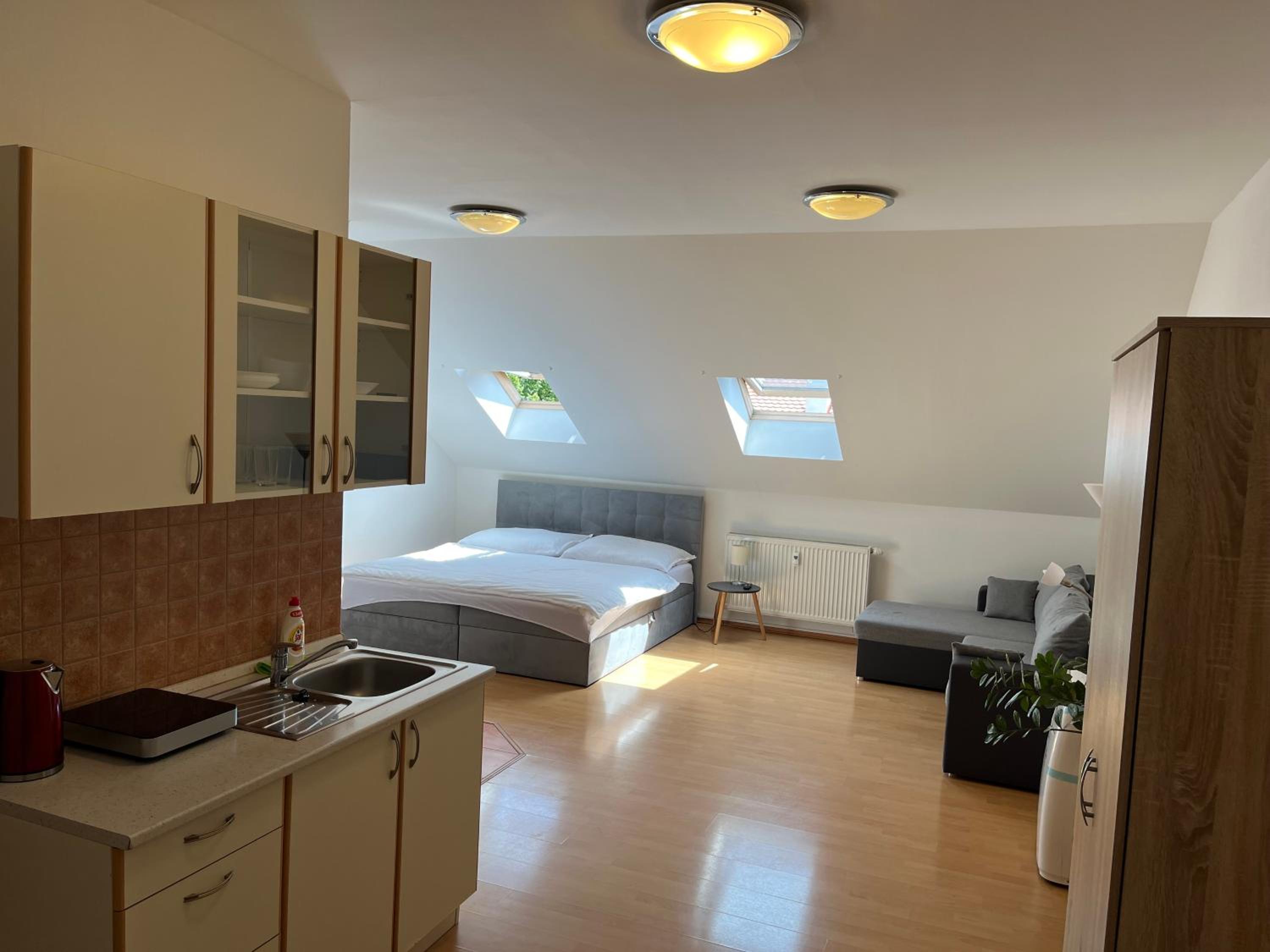 One-bedroom Loft Apartment