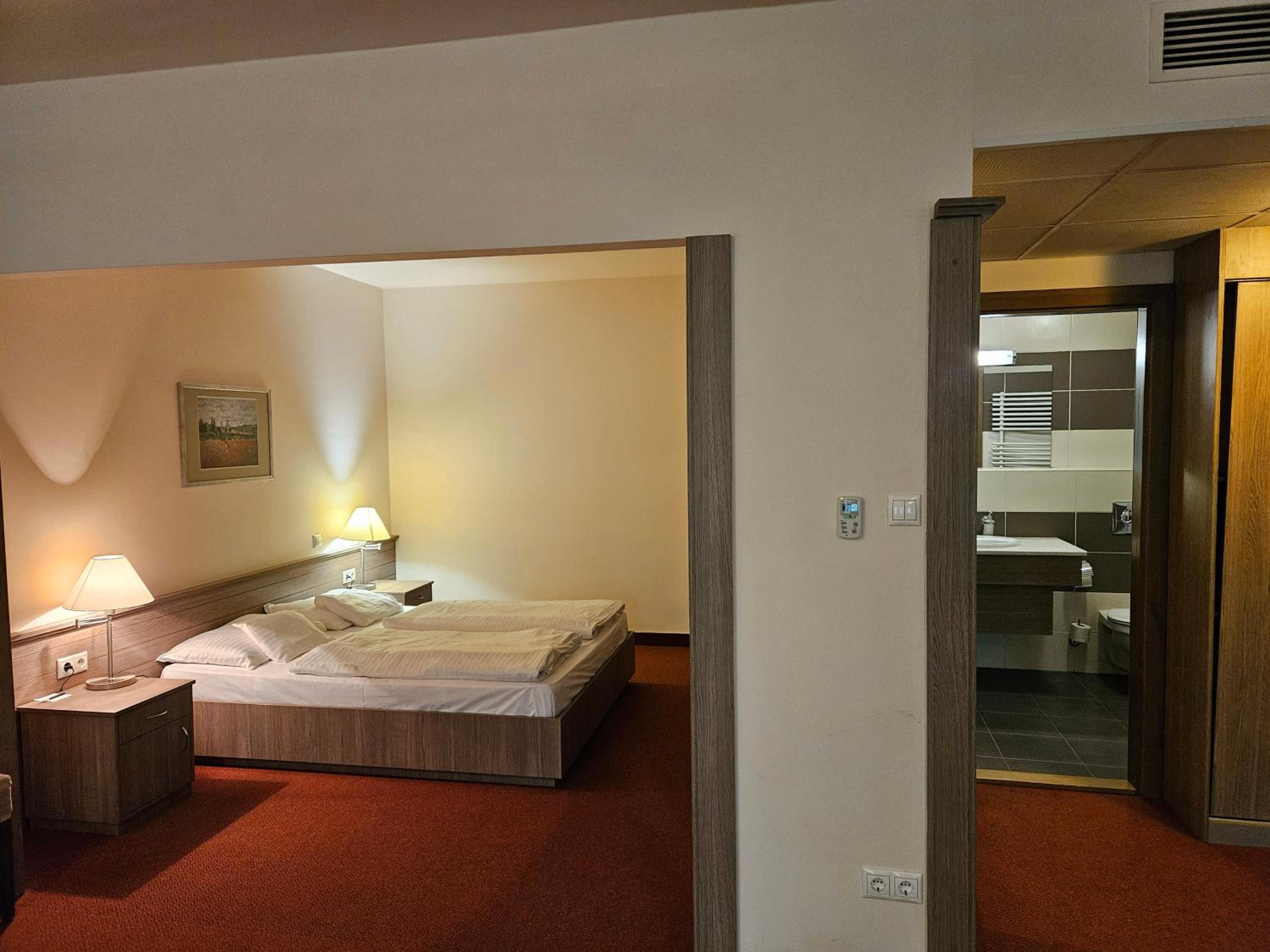 One-Bedroom Suite - Photo 1