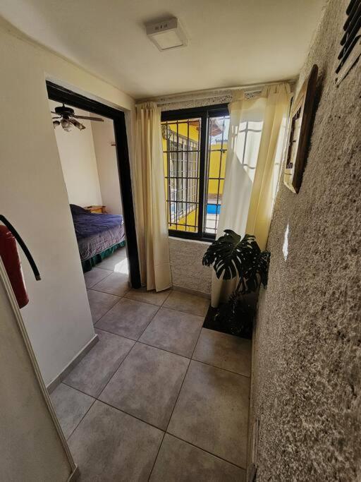 One-Bedroom House photo 3