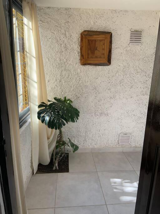 One-Bedroom House photo 2