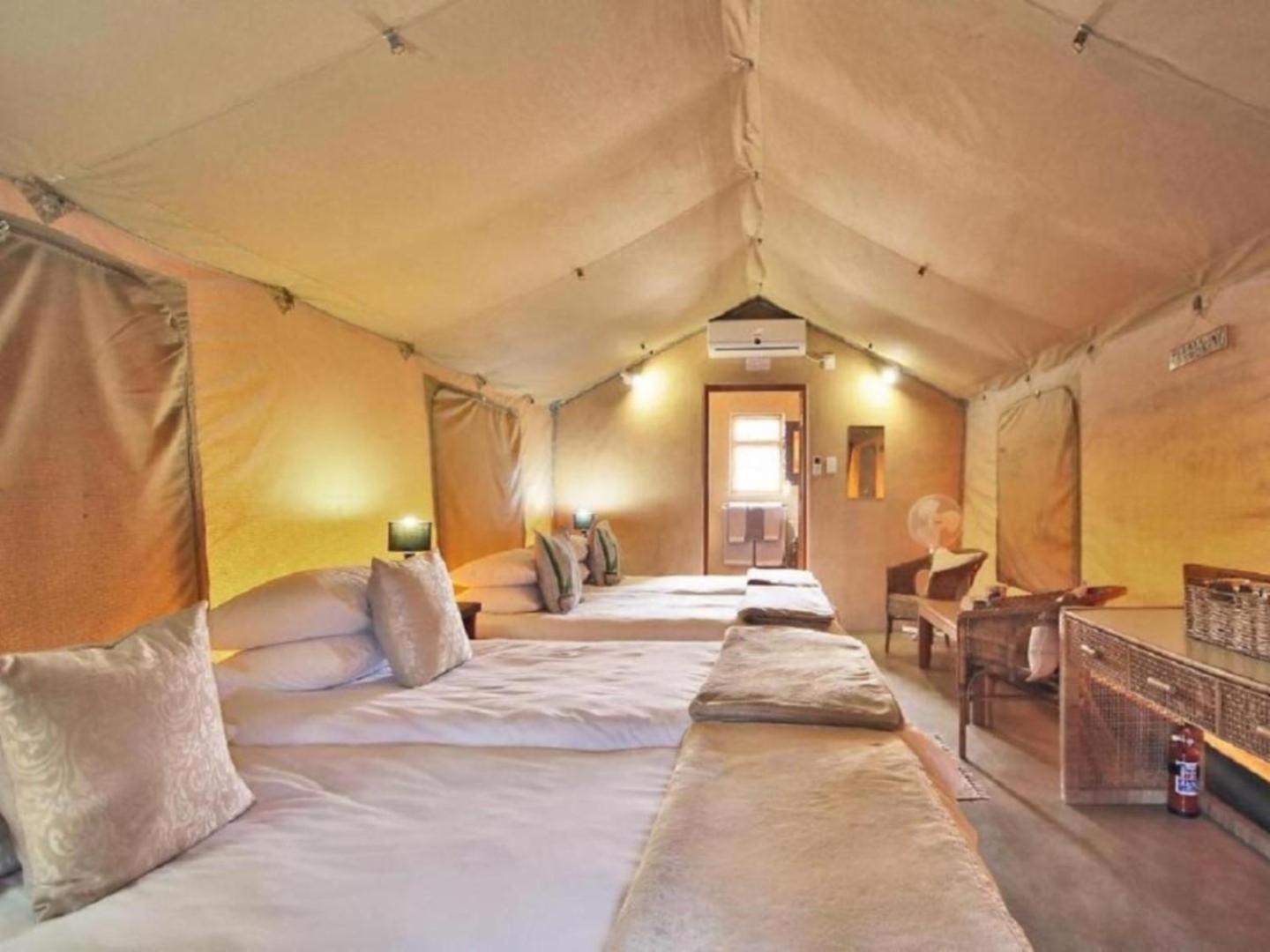 Tent photo 3