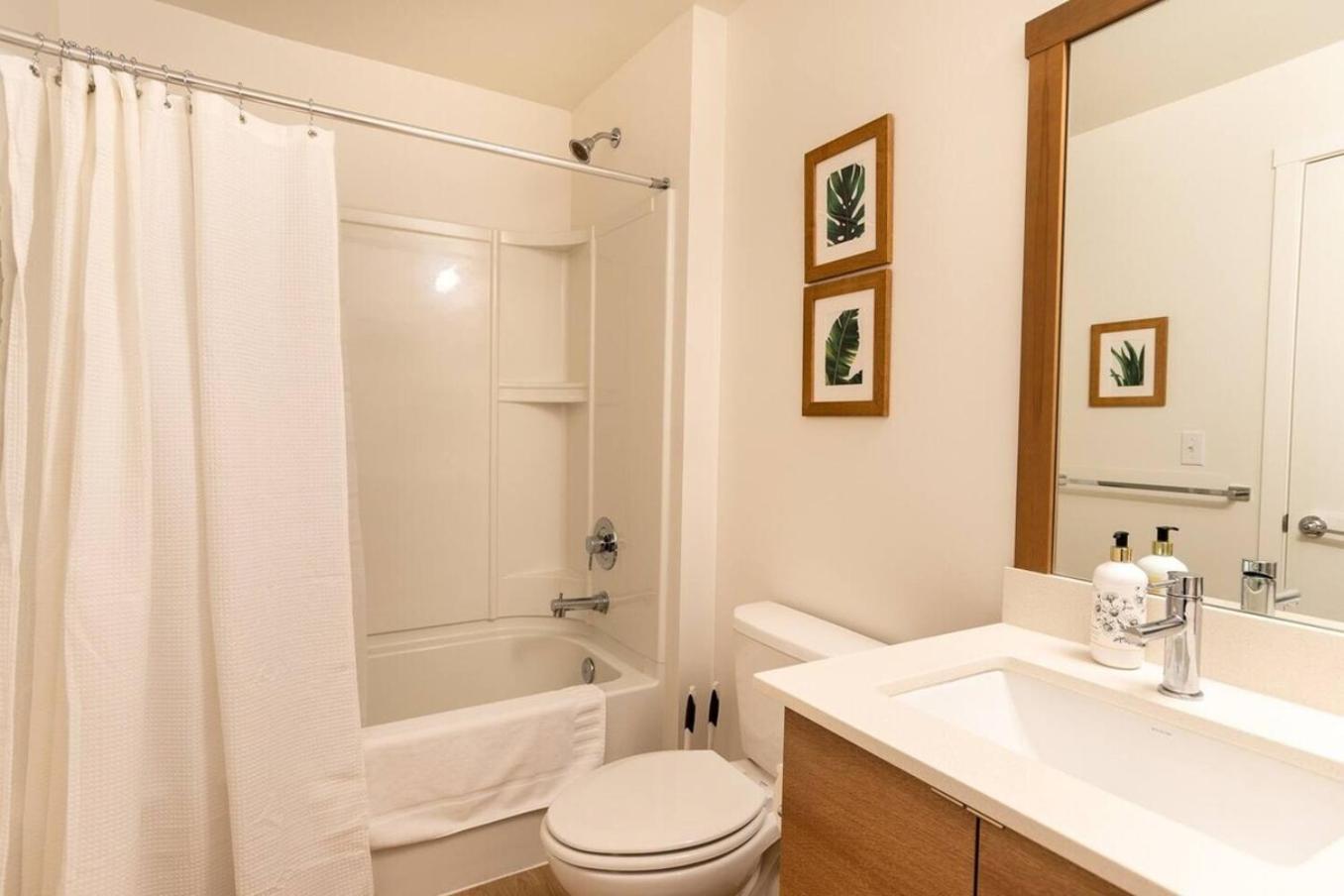 One-Bedroom Apartment photo 3
