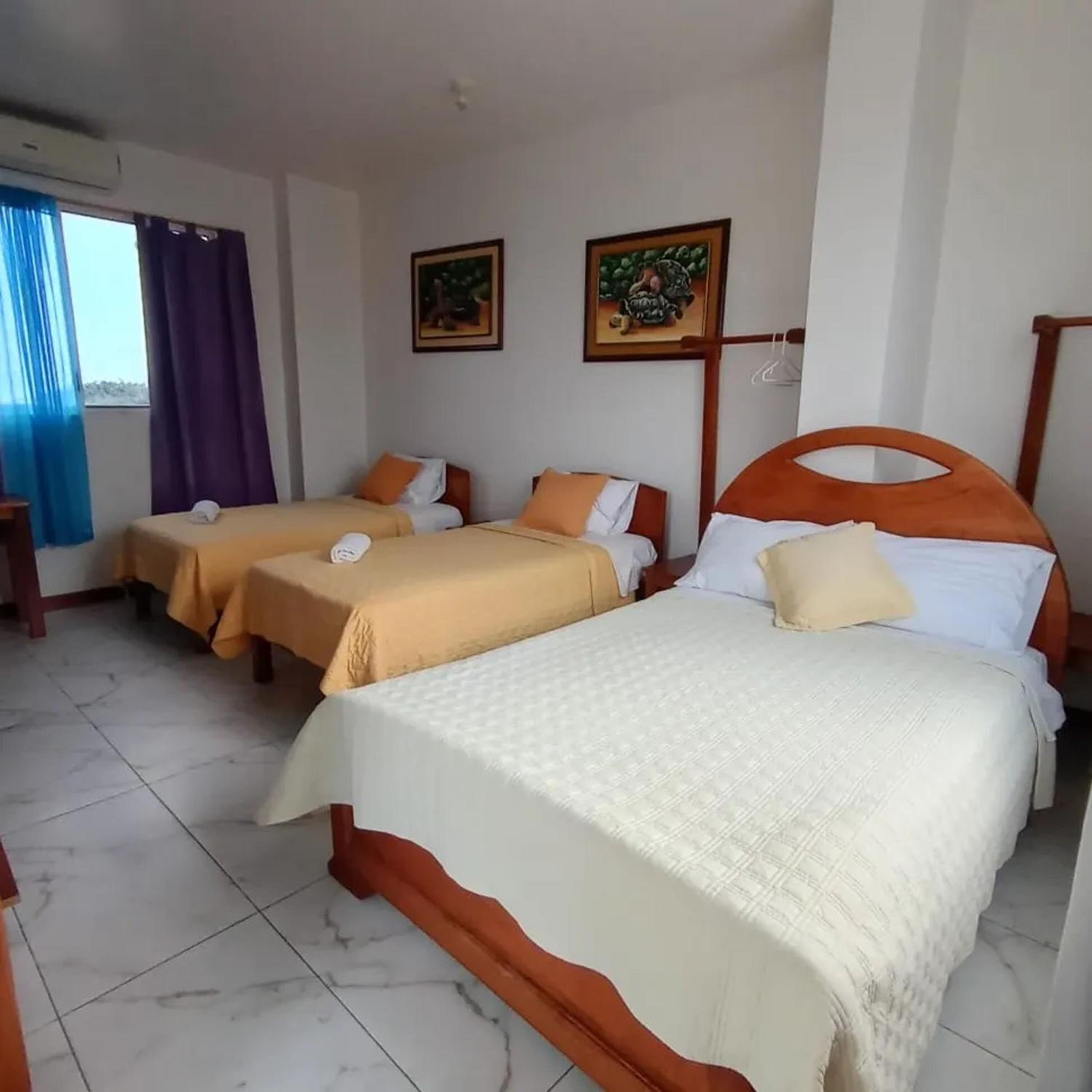 Triple Room photo 1