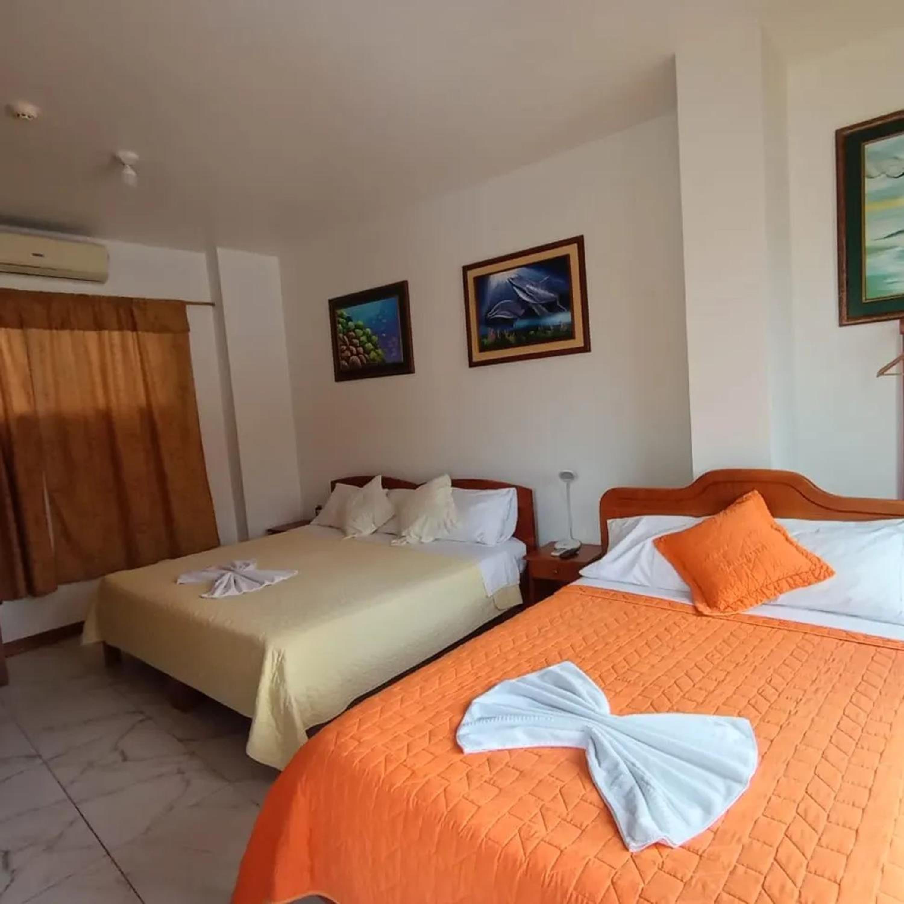 Deluxe Double or Twin Room photo 3