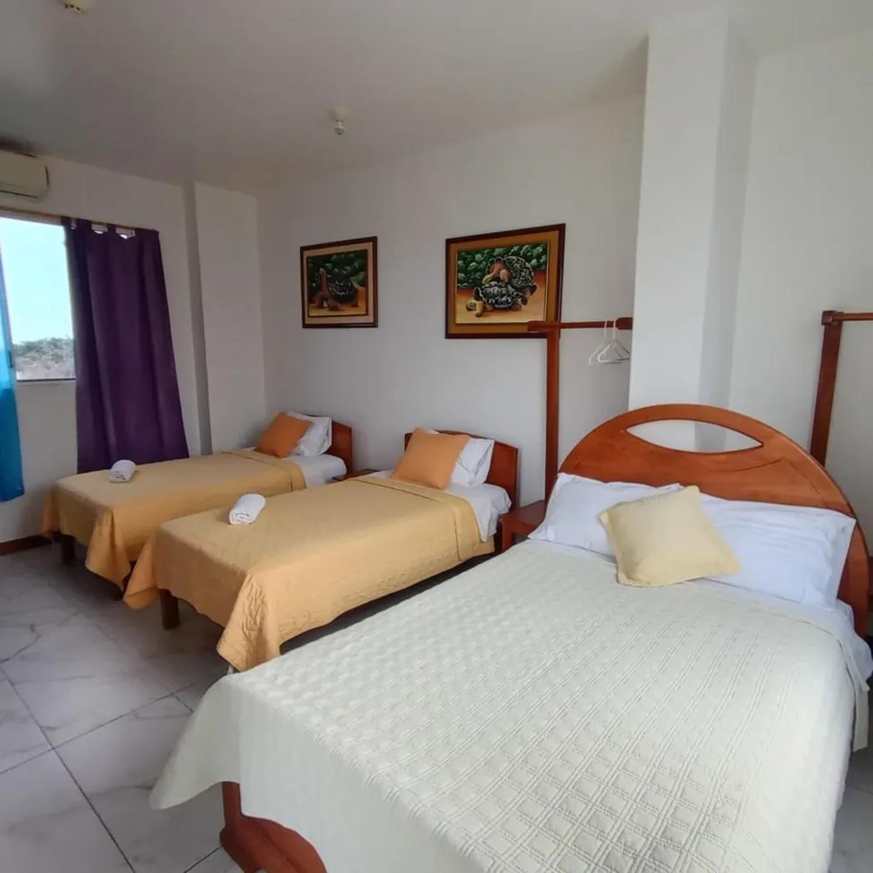 Triple Room photo 2