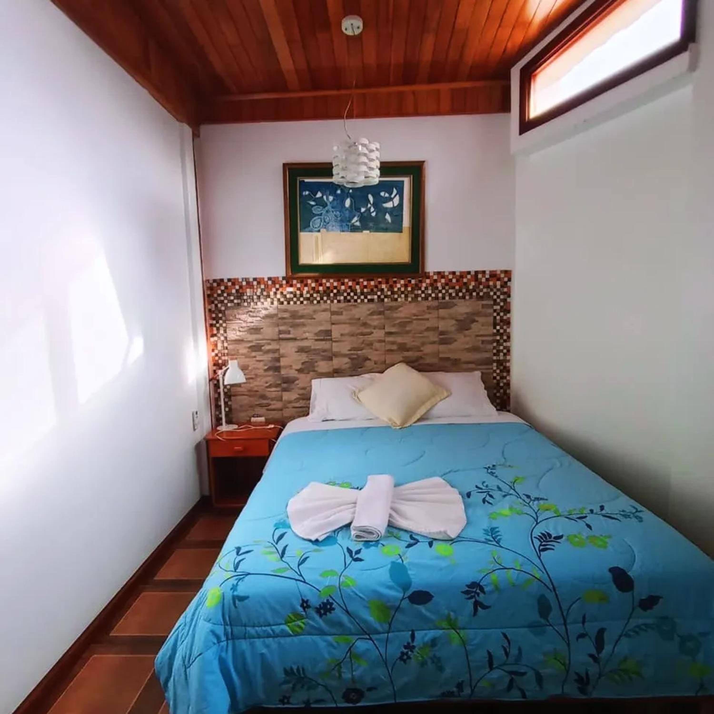 Single Room photo 3