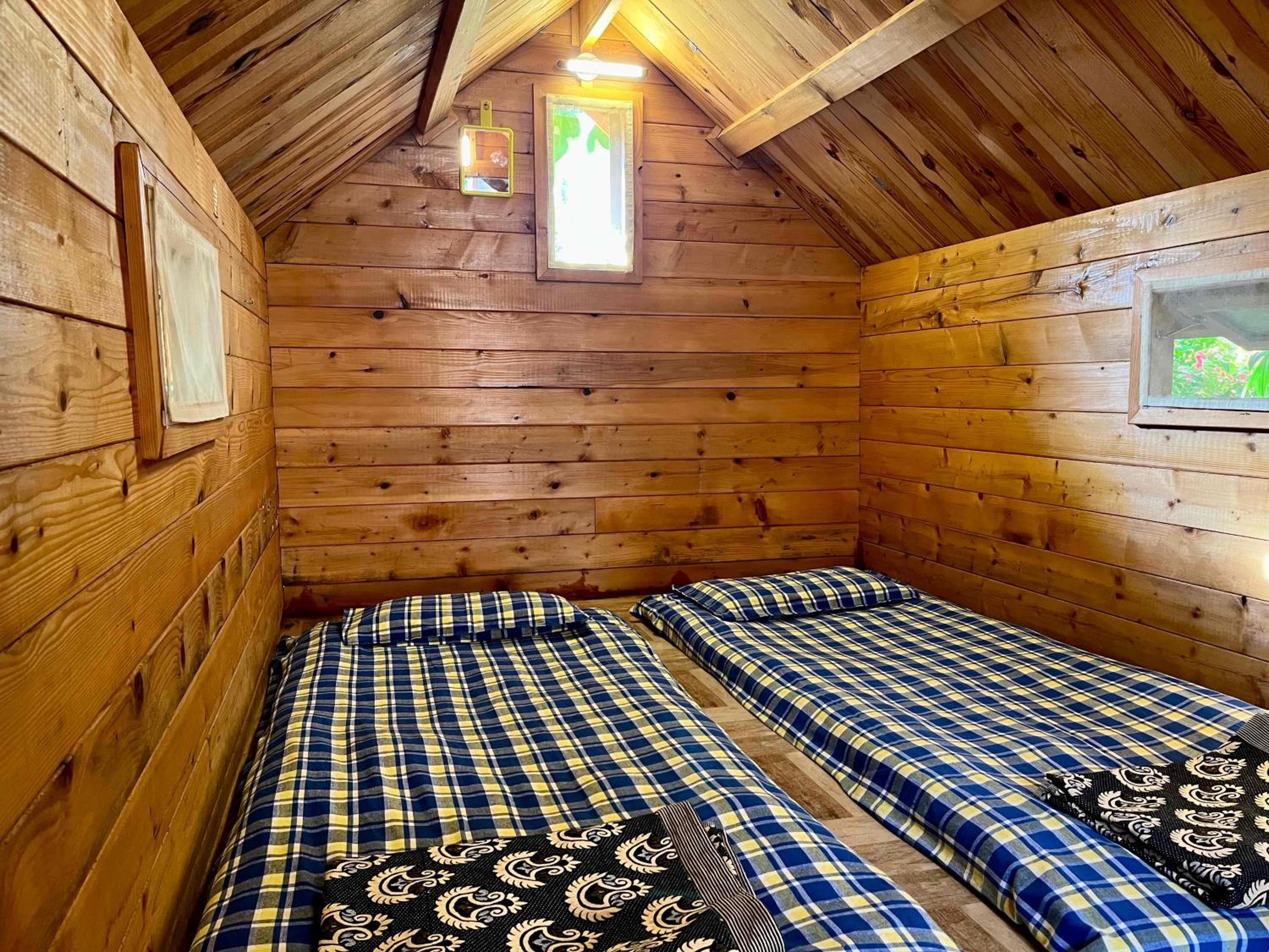 Log Cabin photo 3