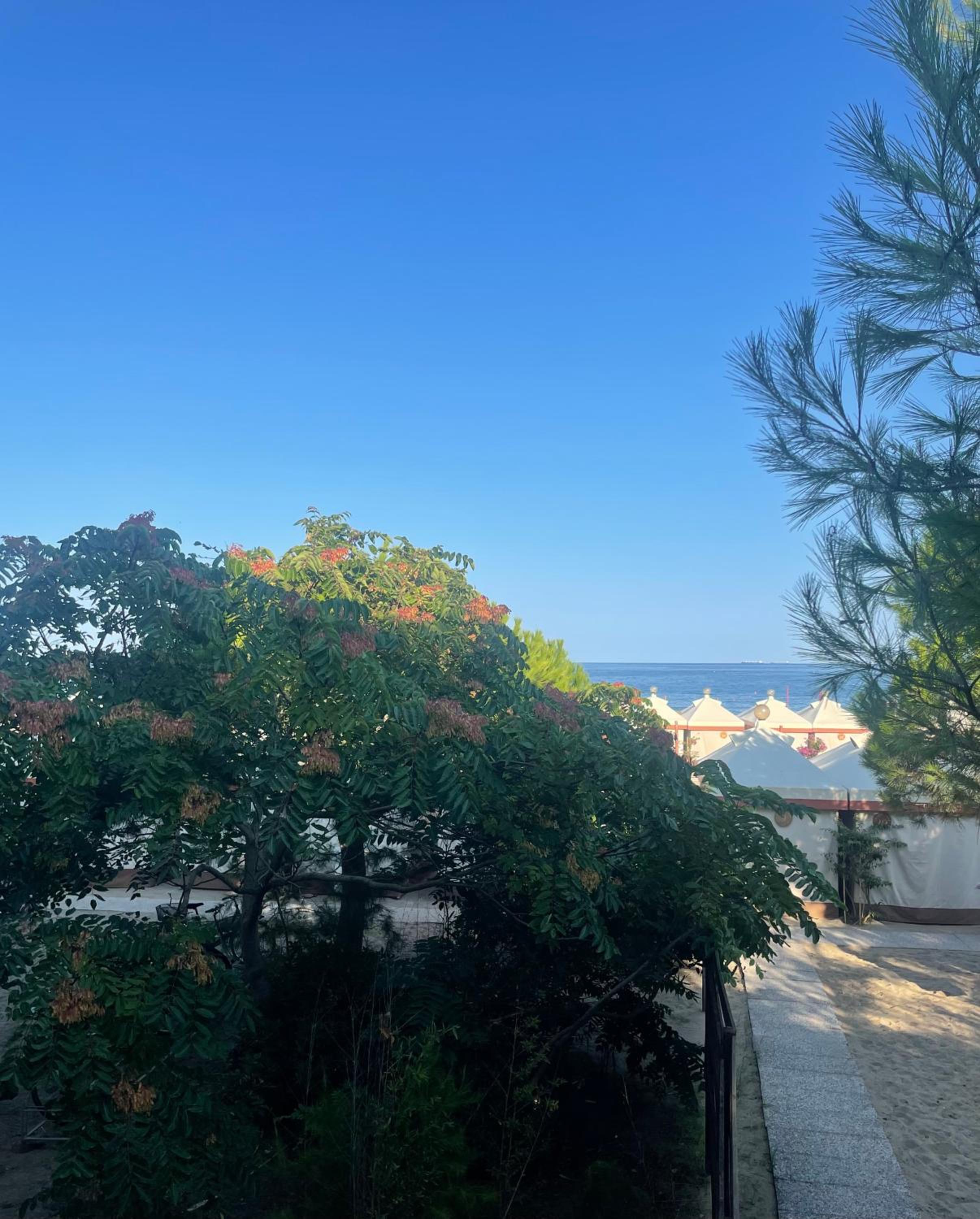 Superior Double or Twin Room with Terrace