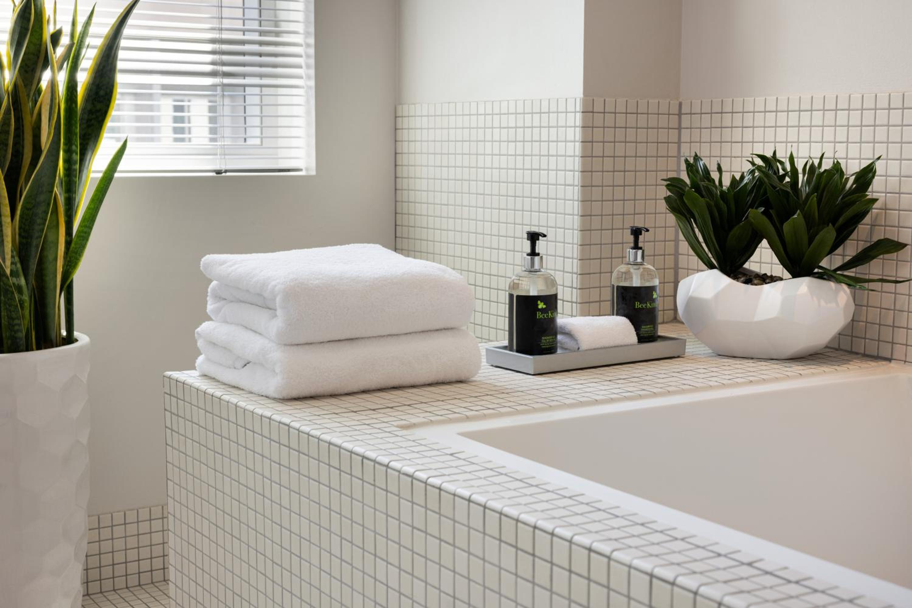 Delphi Suite ADA photo 2