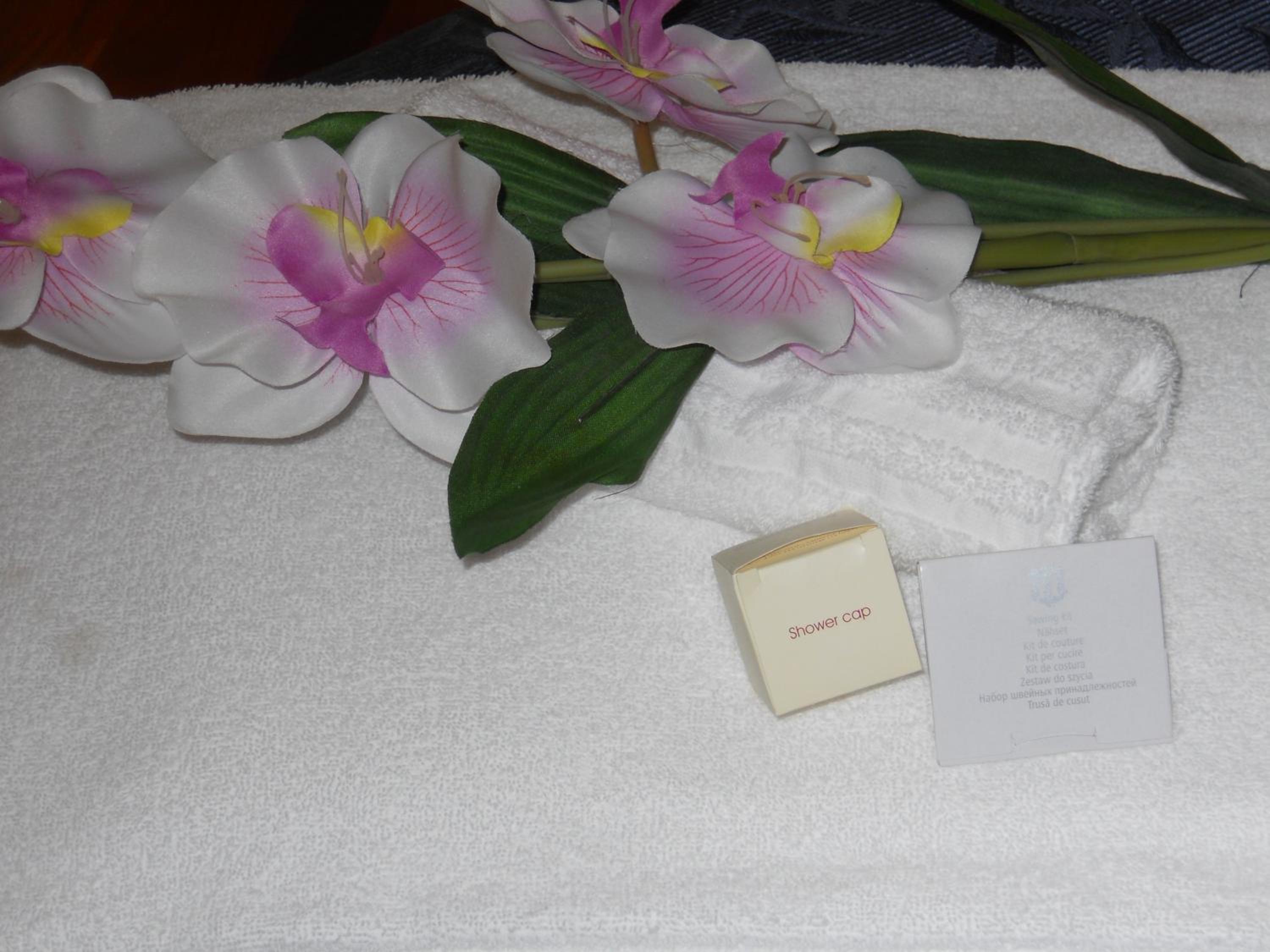 Double or Twin Room photo 2