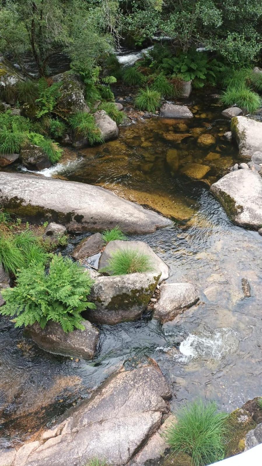 Two-Bedroom Chalet photo 2