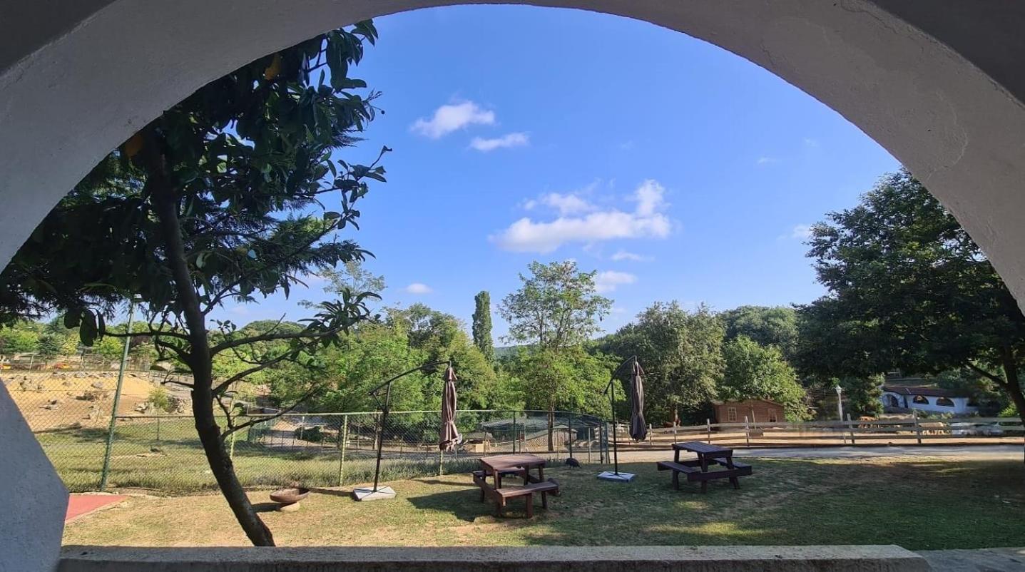 Double Room with Garden View - Photo 4