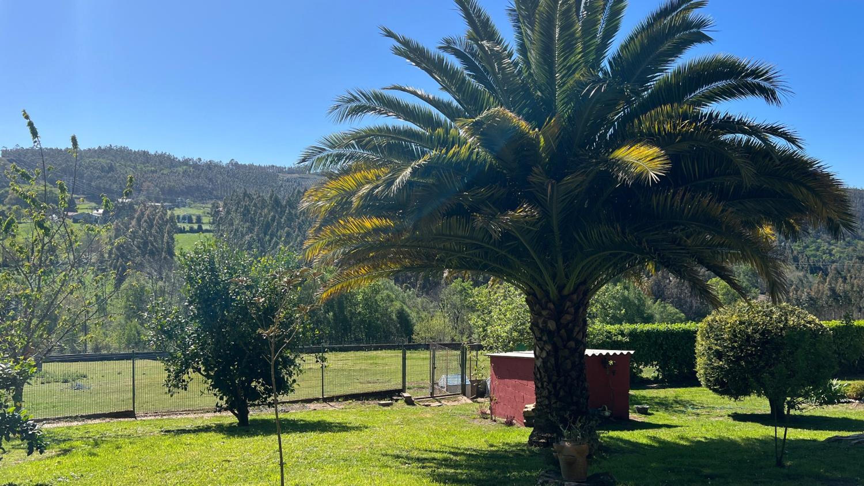 Vacation Home photo 3