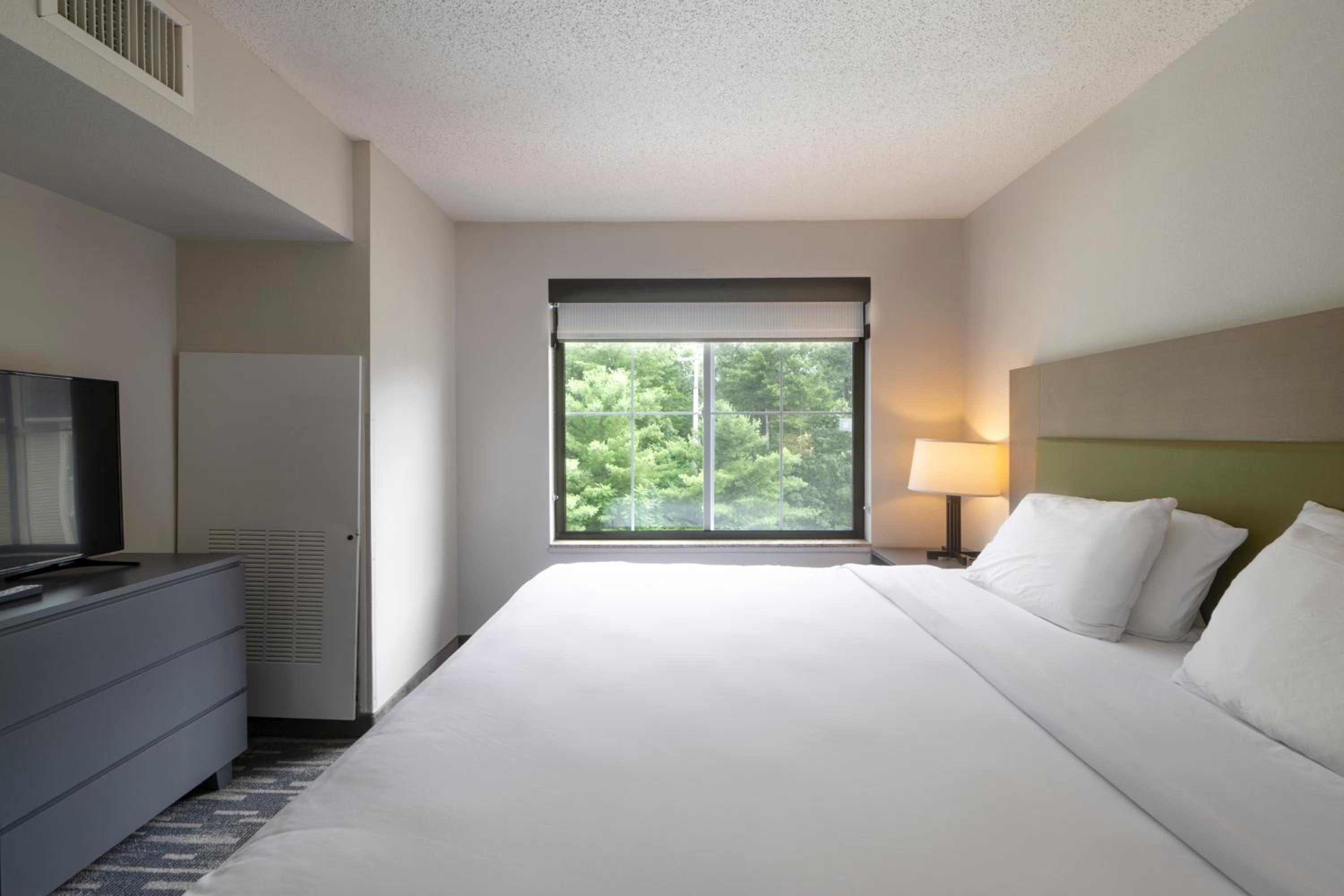 One-Bedroom King Suite - Non-Smoking - Photo 15