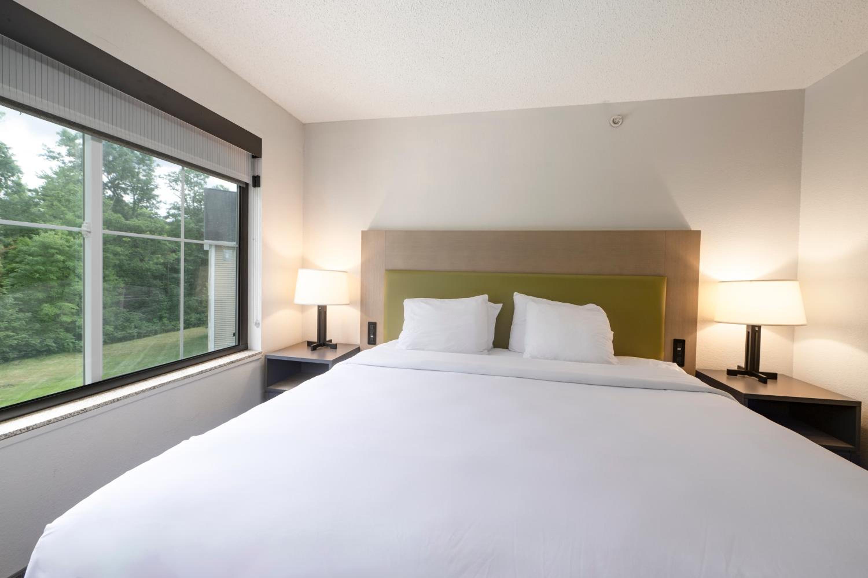 One-Bedroom King Suite - Non-Smoking - Photo 13