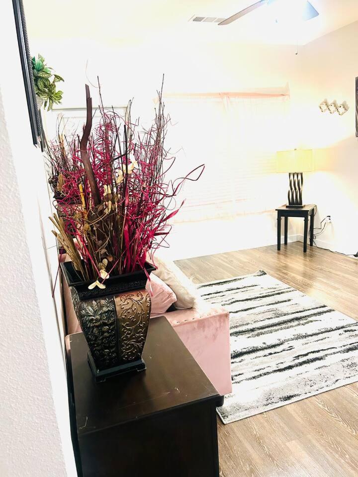 Apartment photo 1