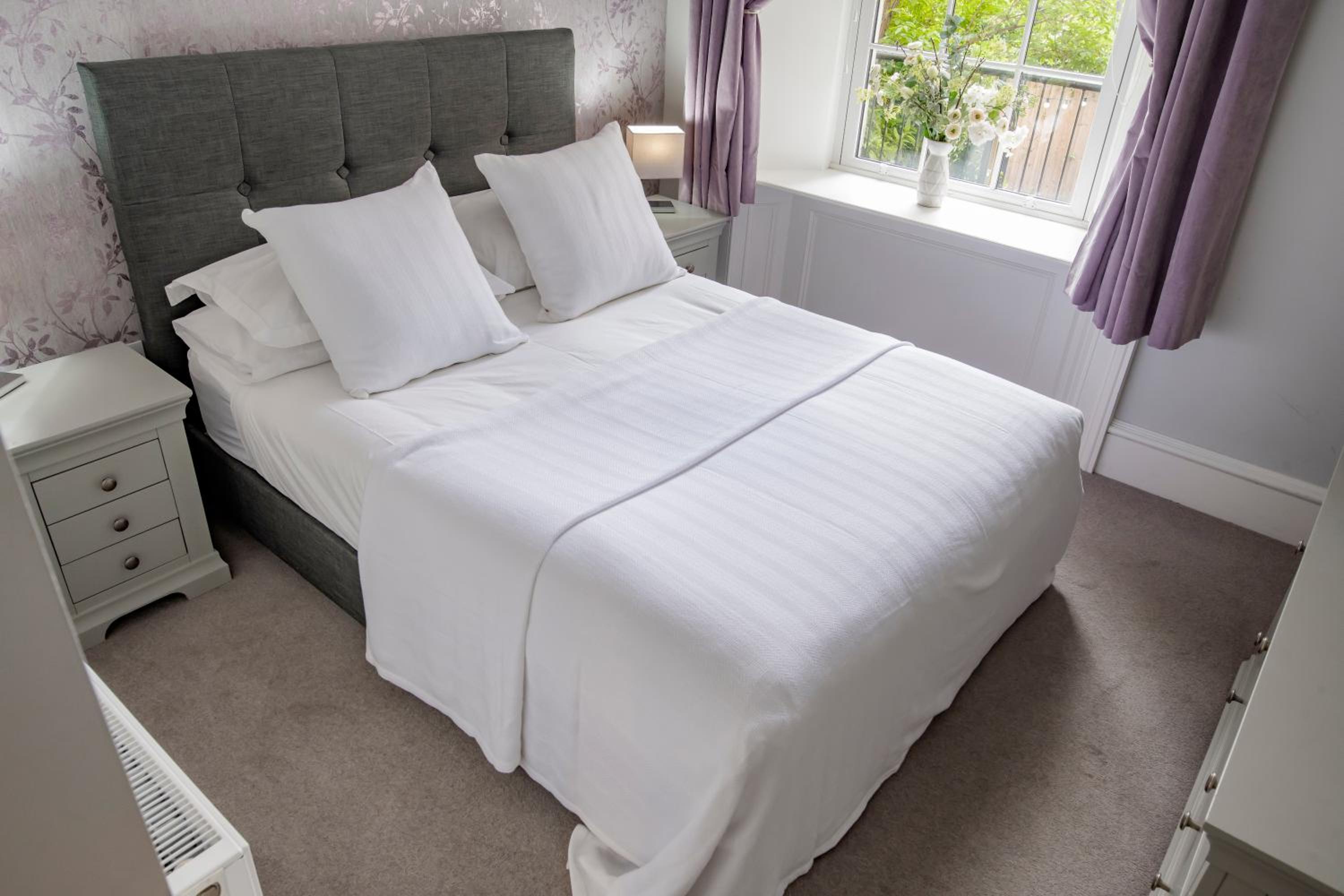 One-Bedroom Apartment - Earn