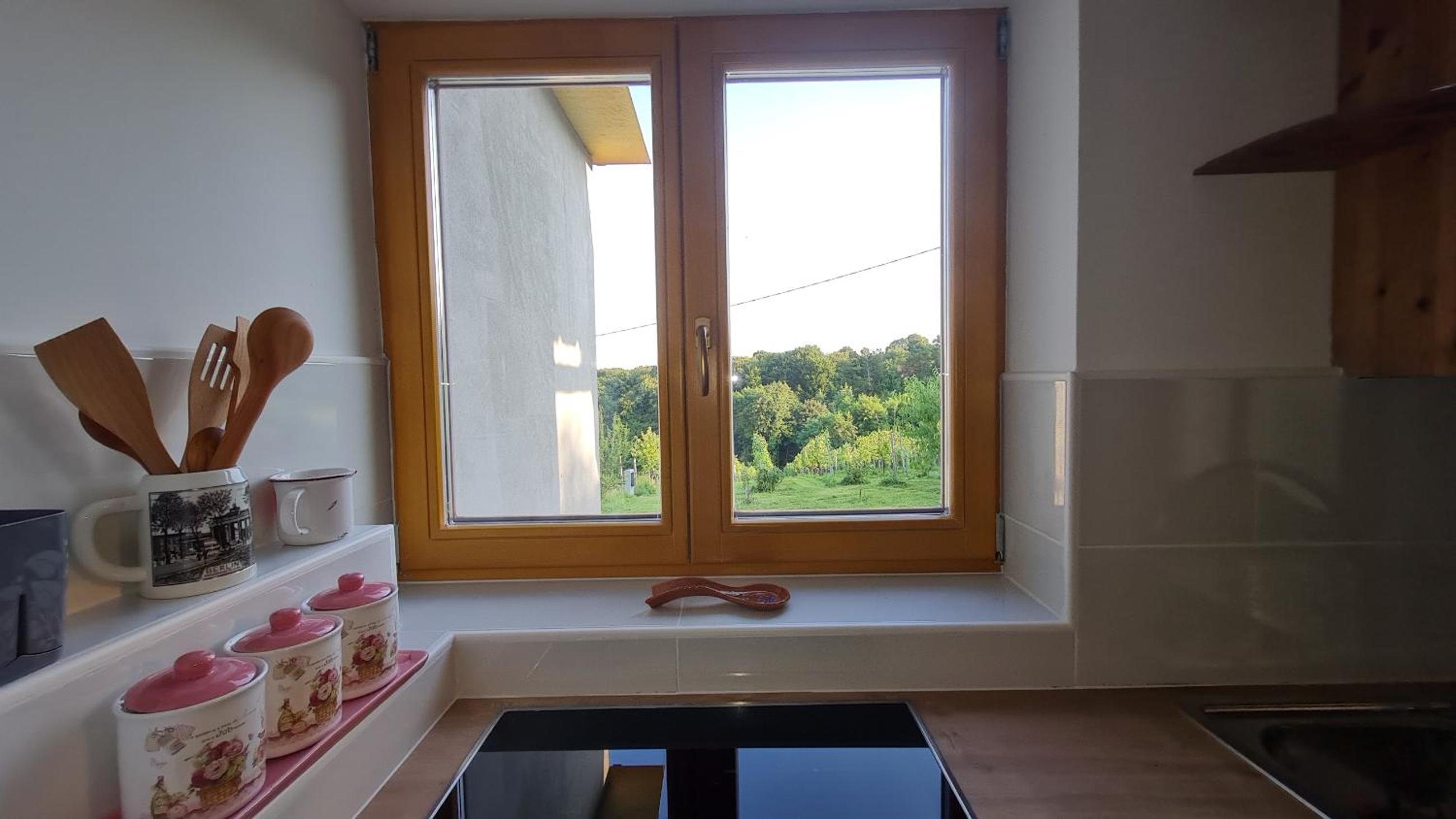 One-Bedroom House photo 3