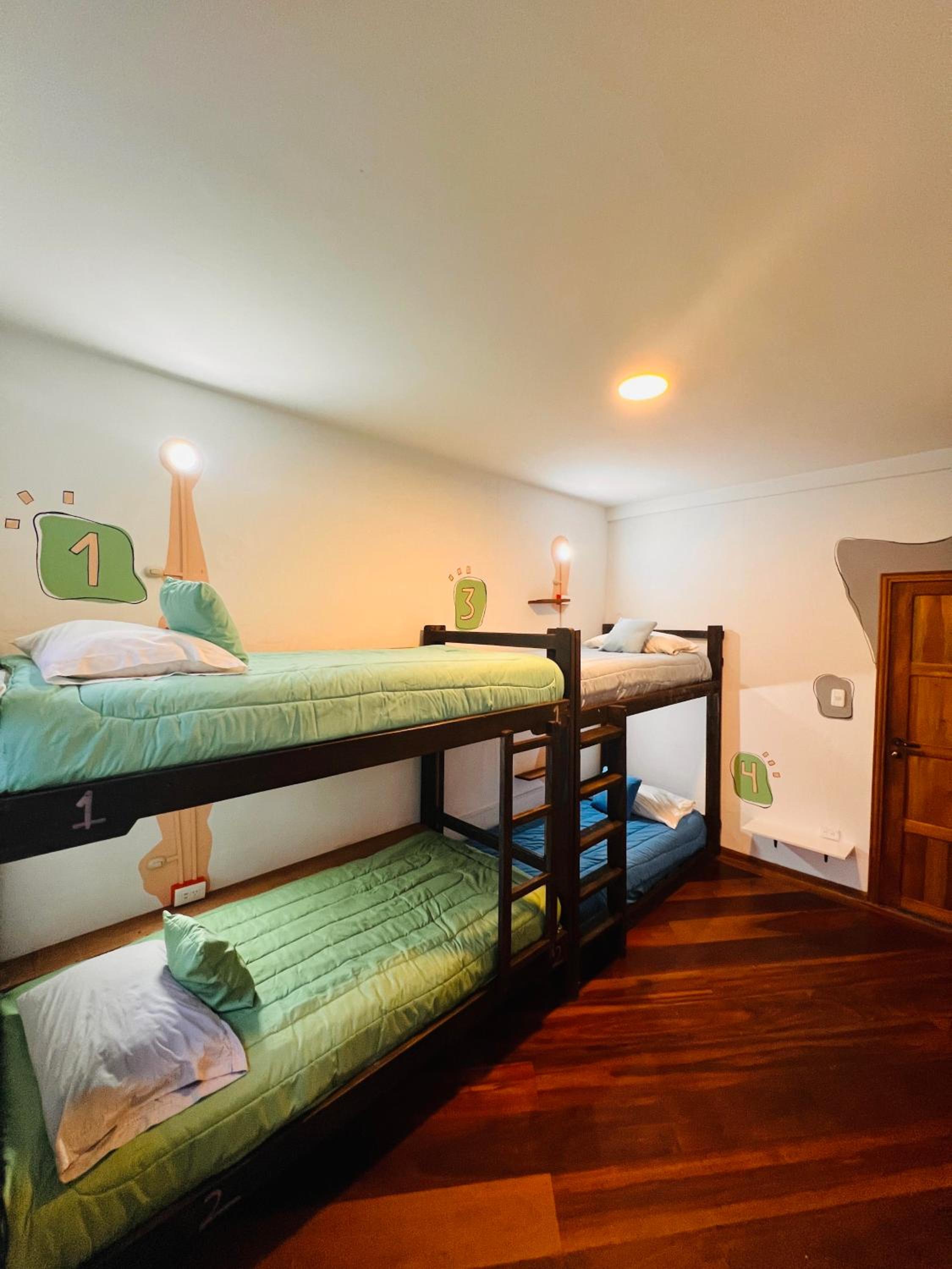 Bed in 4-Bed Mixed Dormitory Room