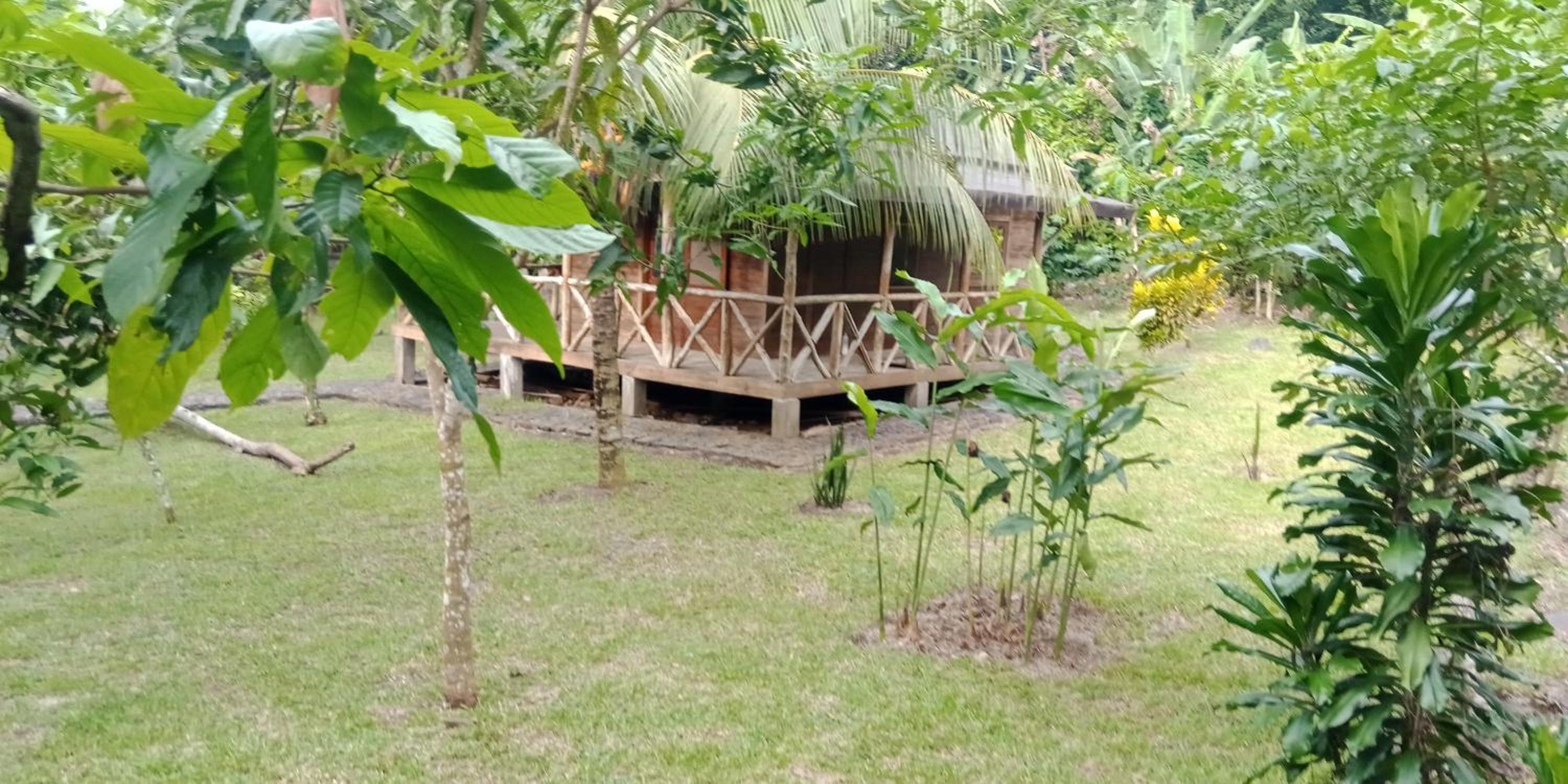 One-Bedroom Villa photo 2