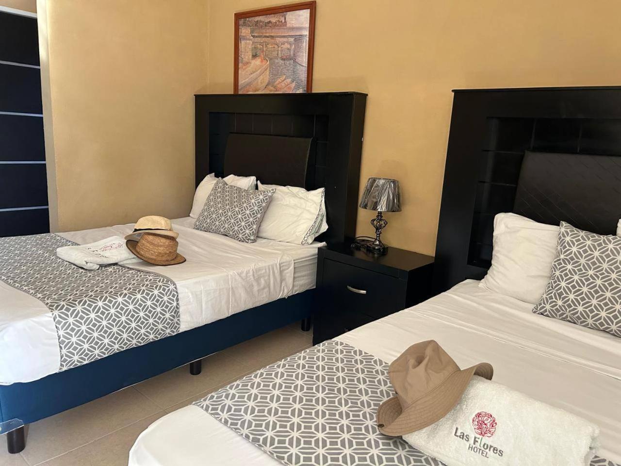 Twin Room photo 1