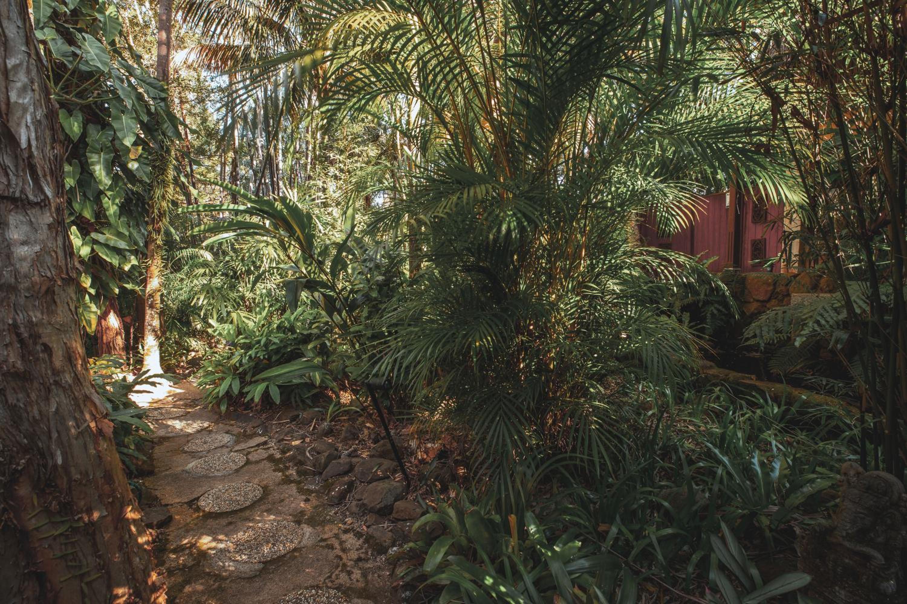 Garden Buree