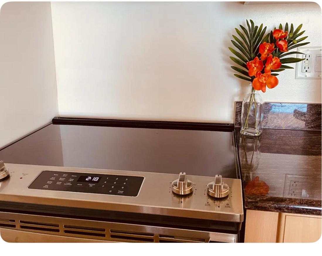 One-Bedroom Apartment thumbnail 6
