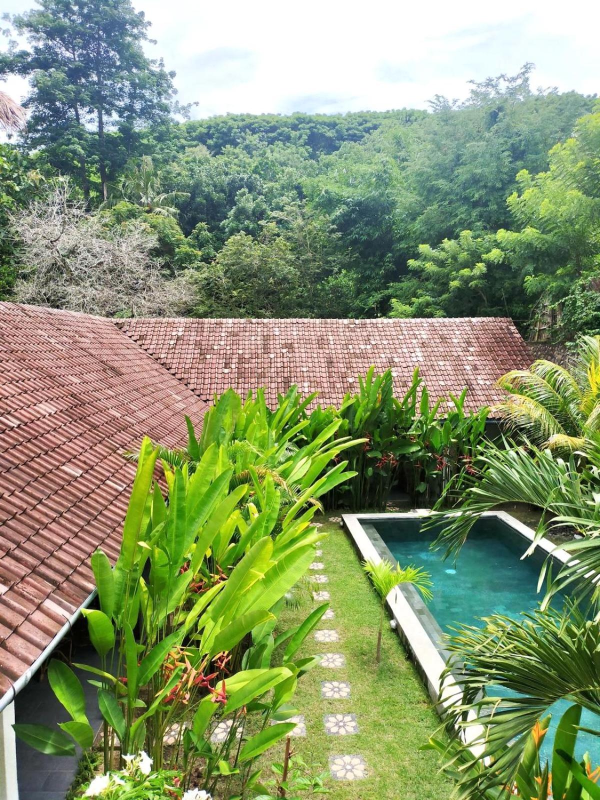 Studio with Garden View photo 2
