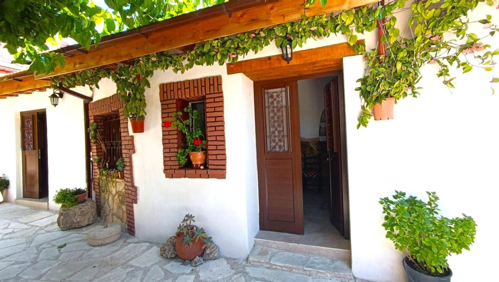 One-Bedroom House photo 1
