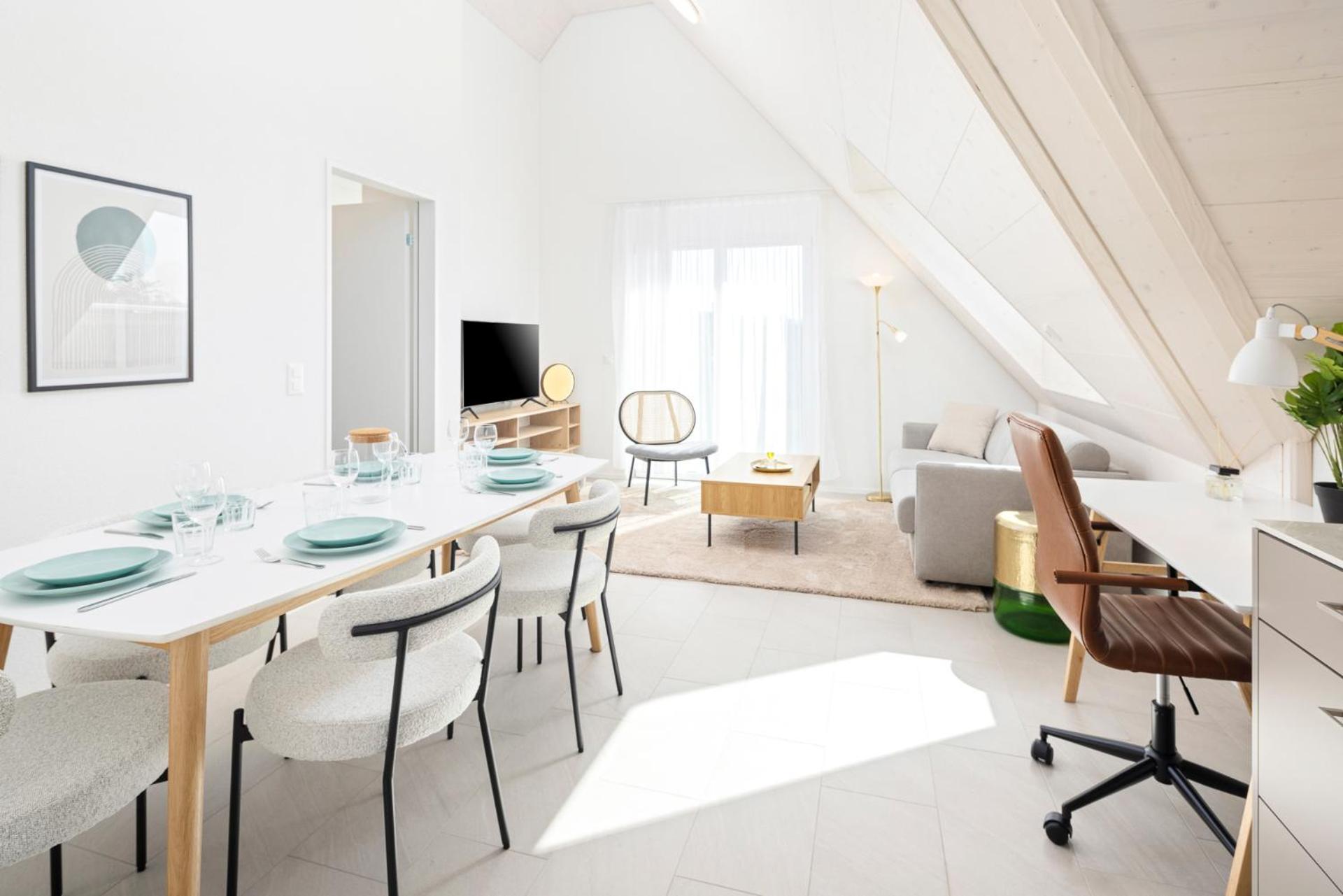 Penthouse Apartment