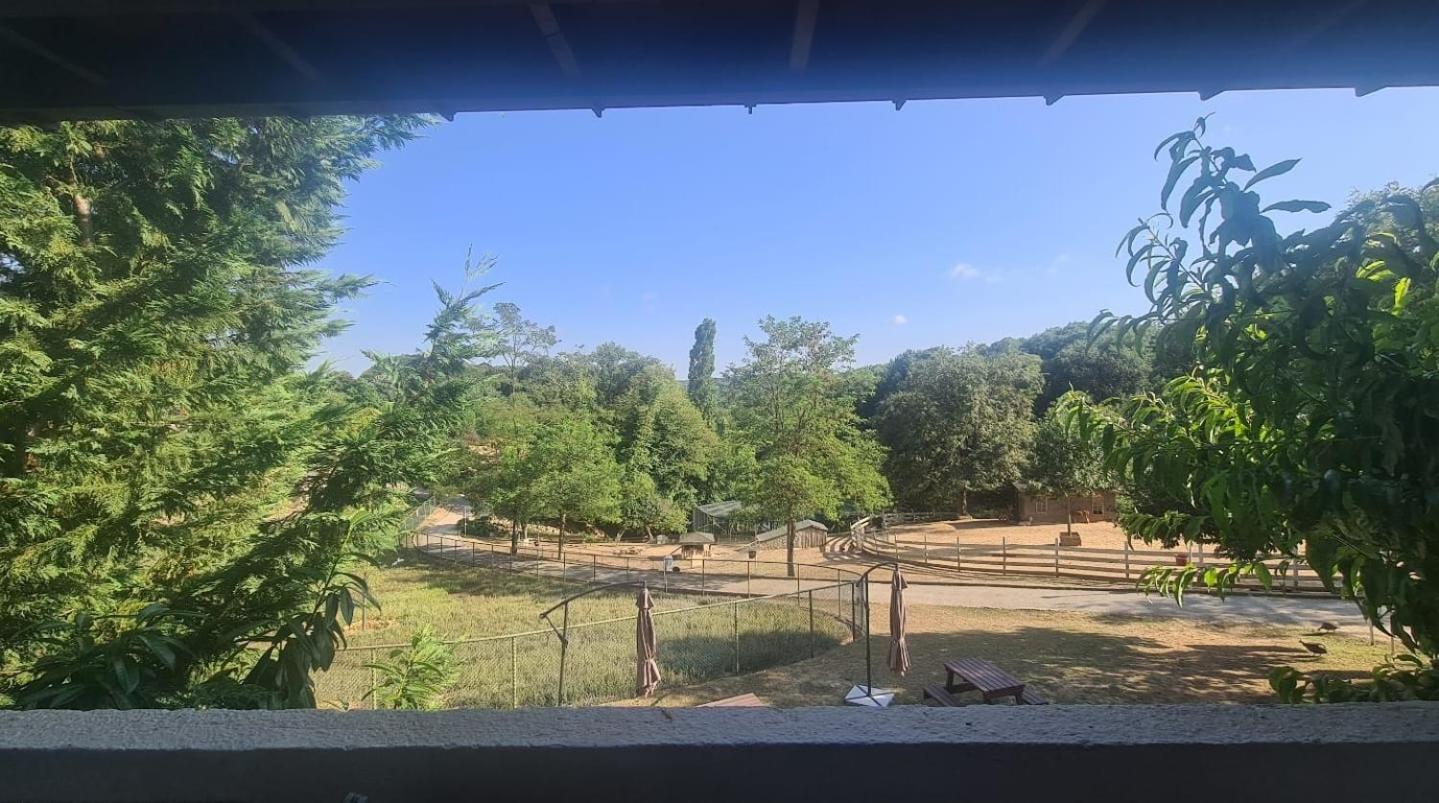 Double Room with Lake View - Photo 6