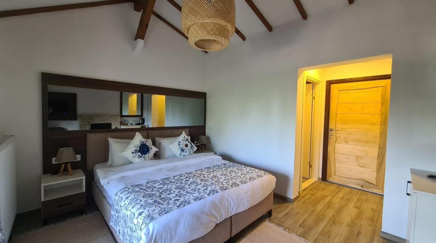 Double Room with Lake View - Photo 4