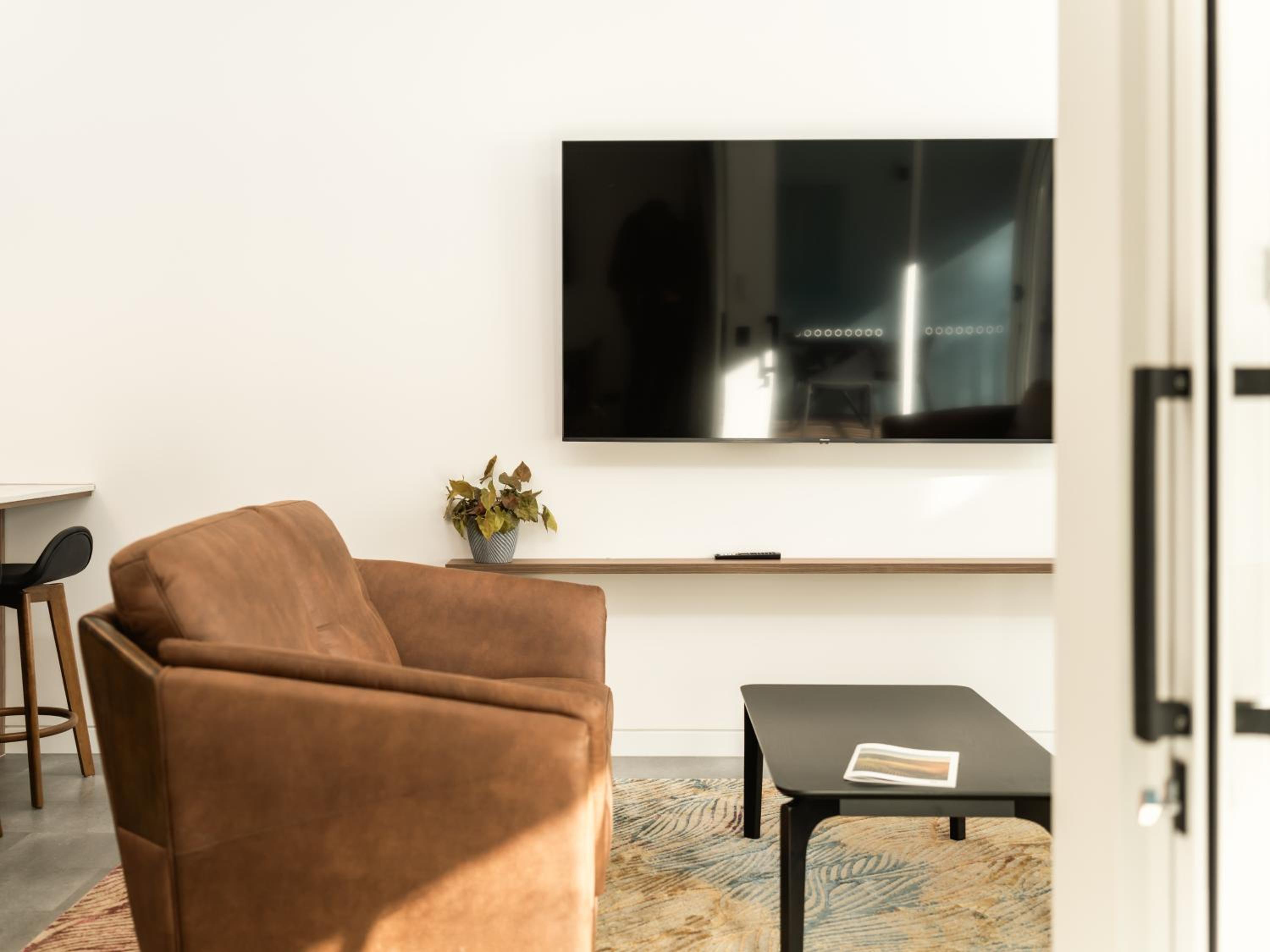Deluxe One-Bedroom Apartment