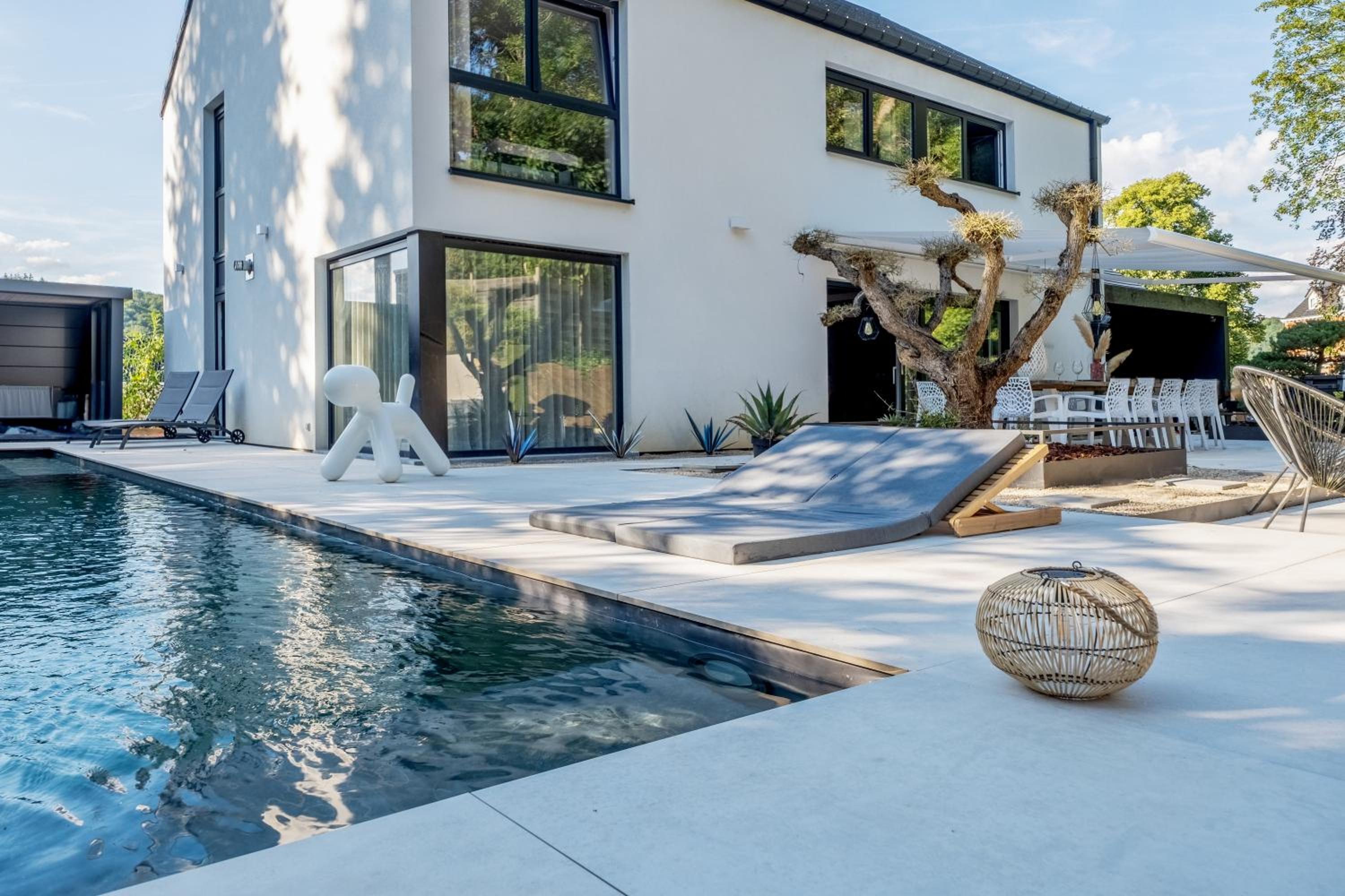 Superior Villa photo 3