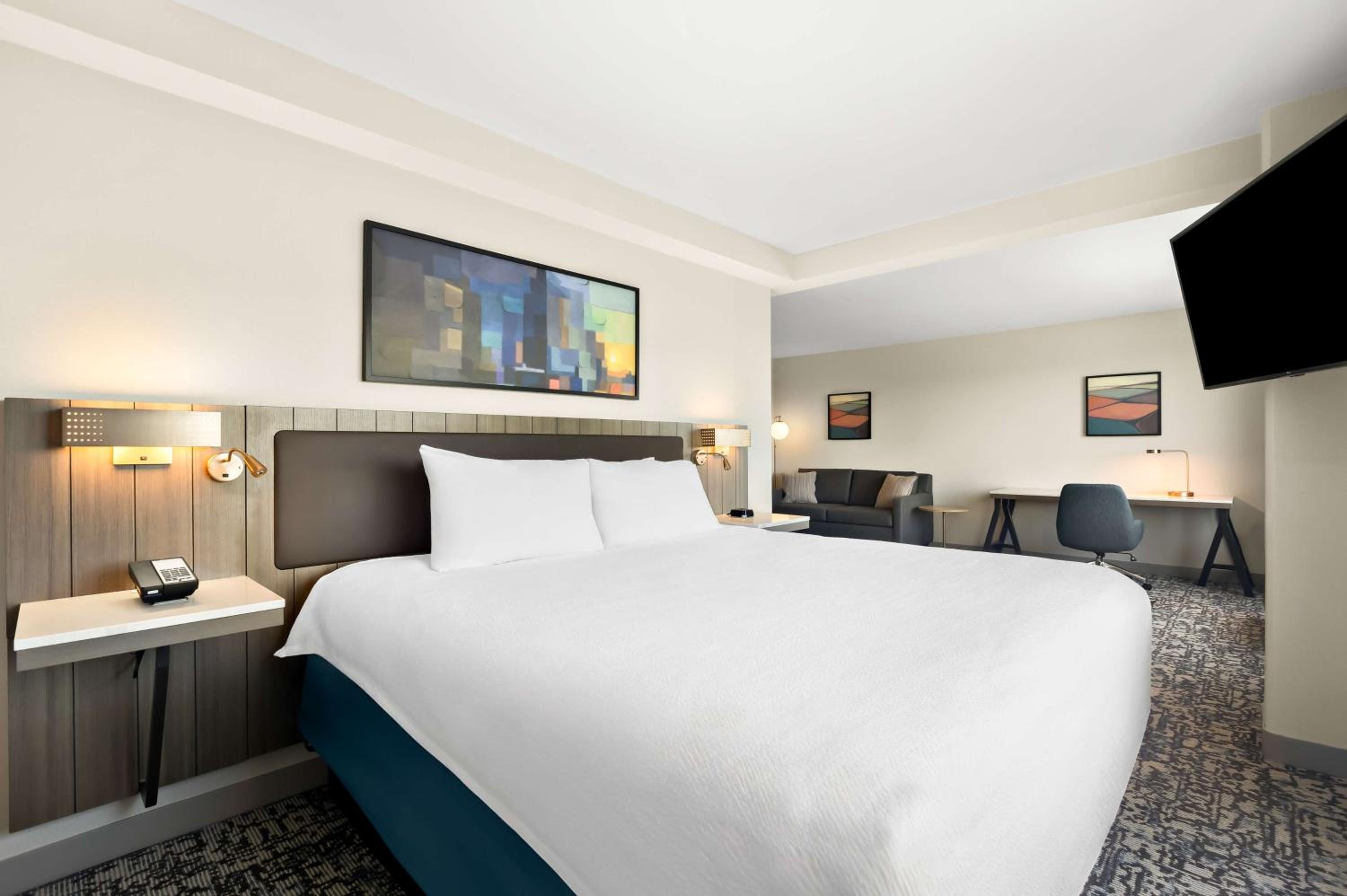 Junior King Suite with Sofa Bed - Photo 3