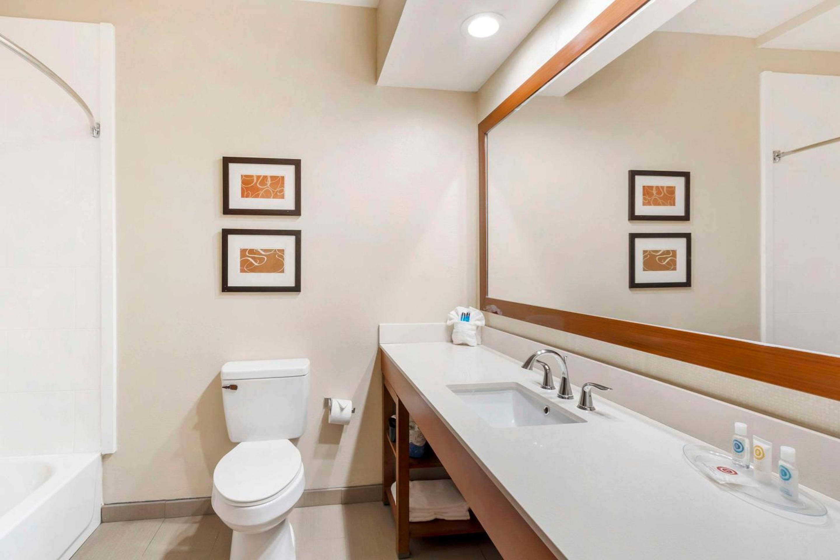 King Suite - Non-Smoking photo 3