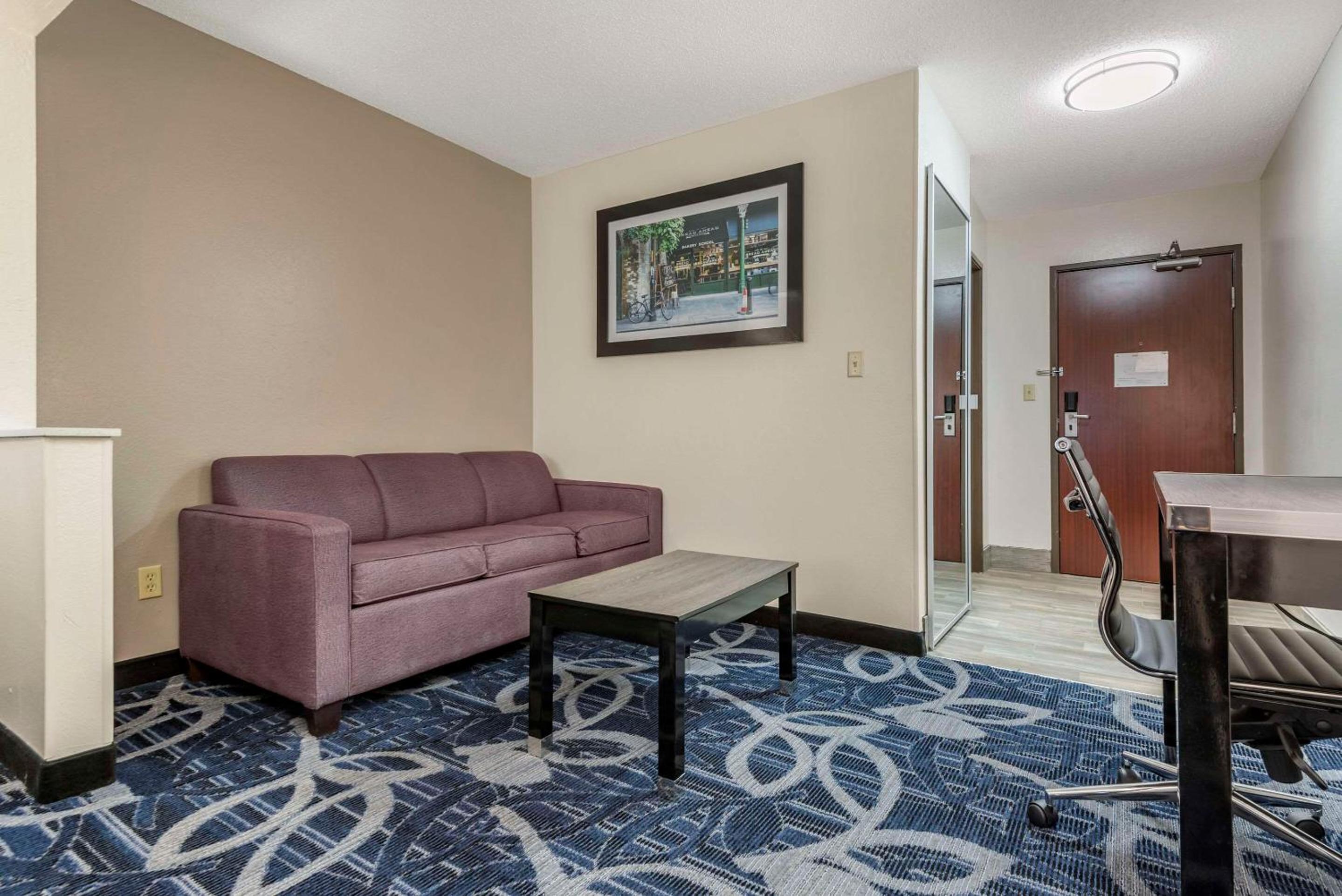 King Suite with Sofa Bed - Non Smoking - Photo 4