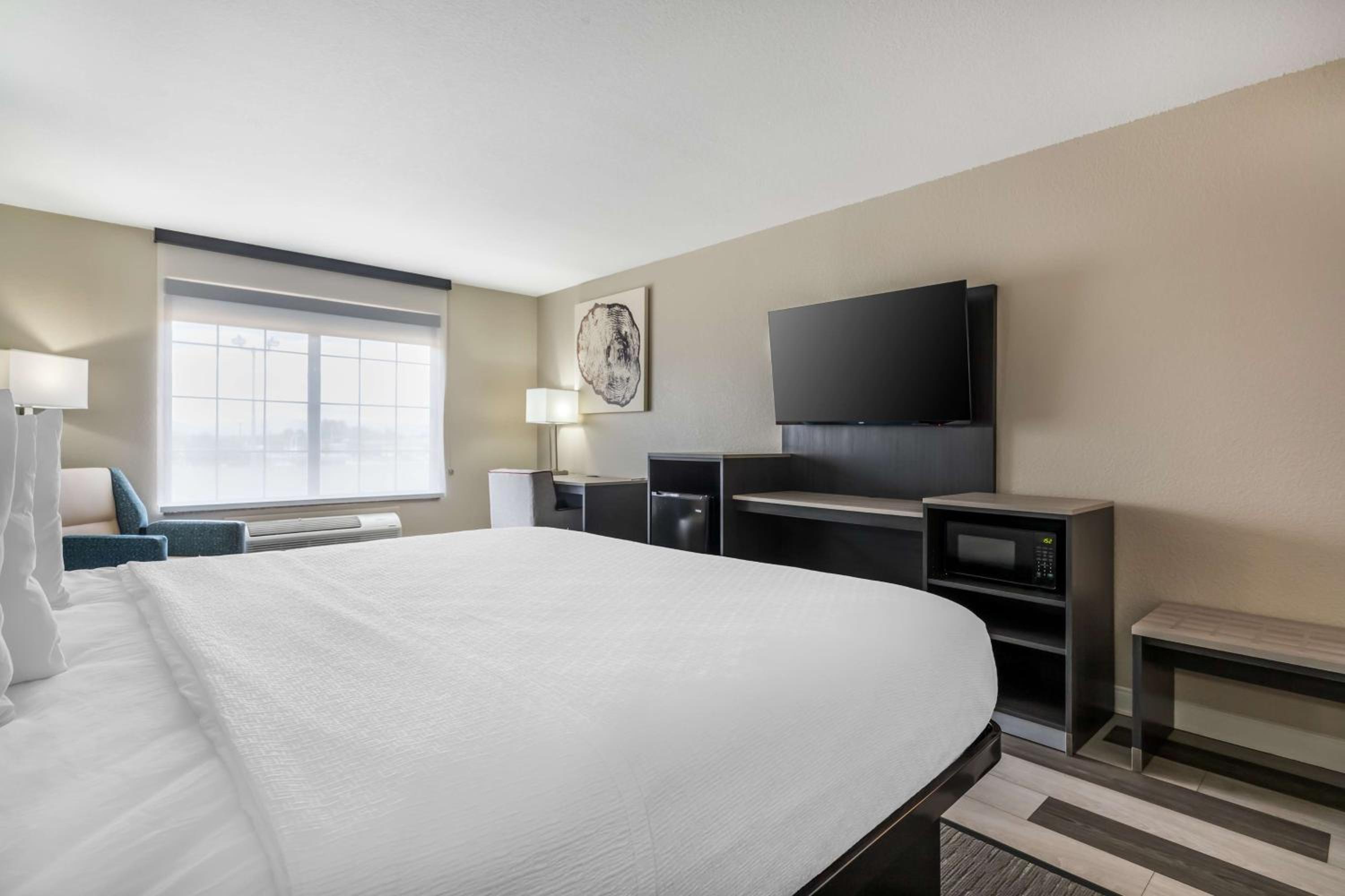 King Room - Non-Smoking - Photo 2