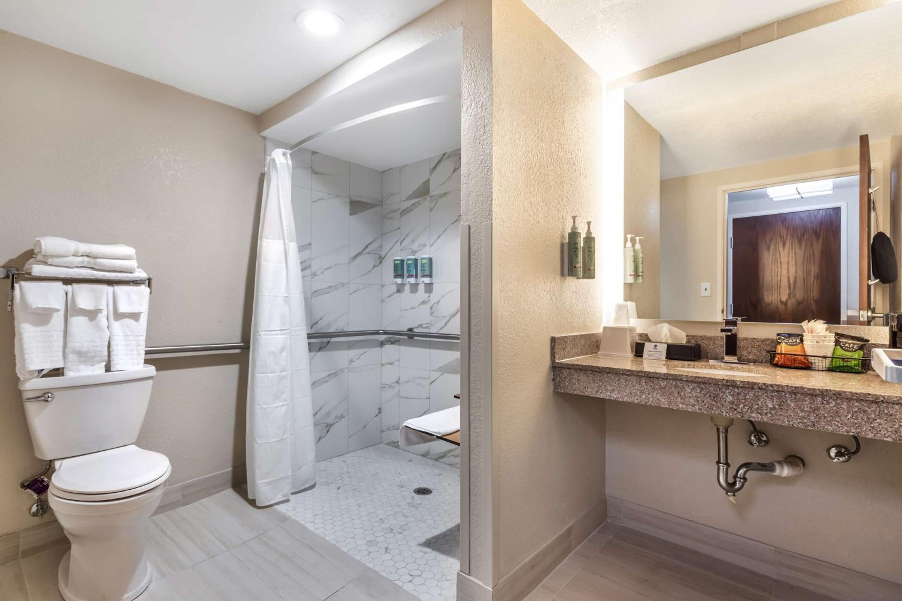 King Room with Roll-In Shower - Mobility Accessible - Photo 3