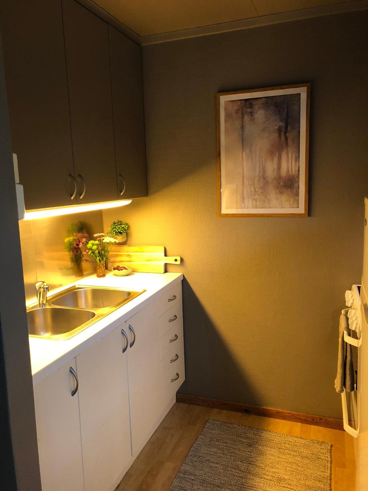One-Bedroom Apartment photo 2