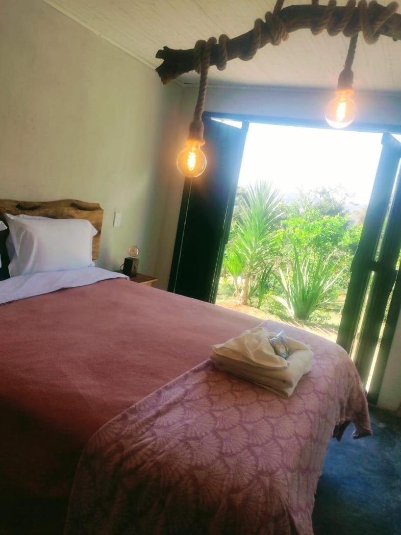 Family Suite with Balcony
