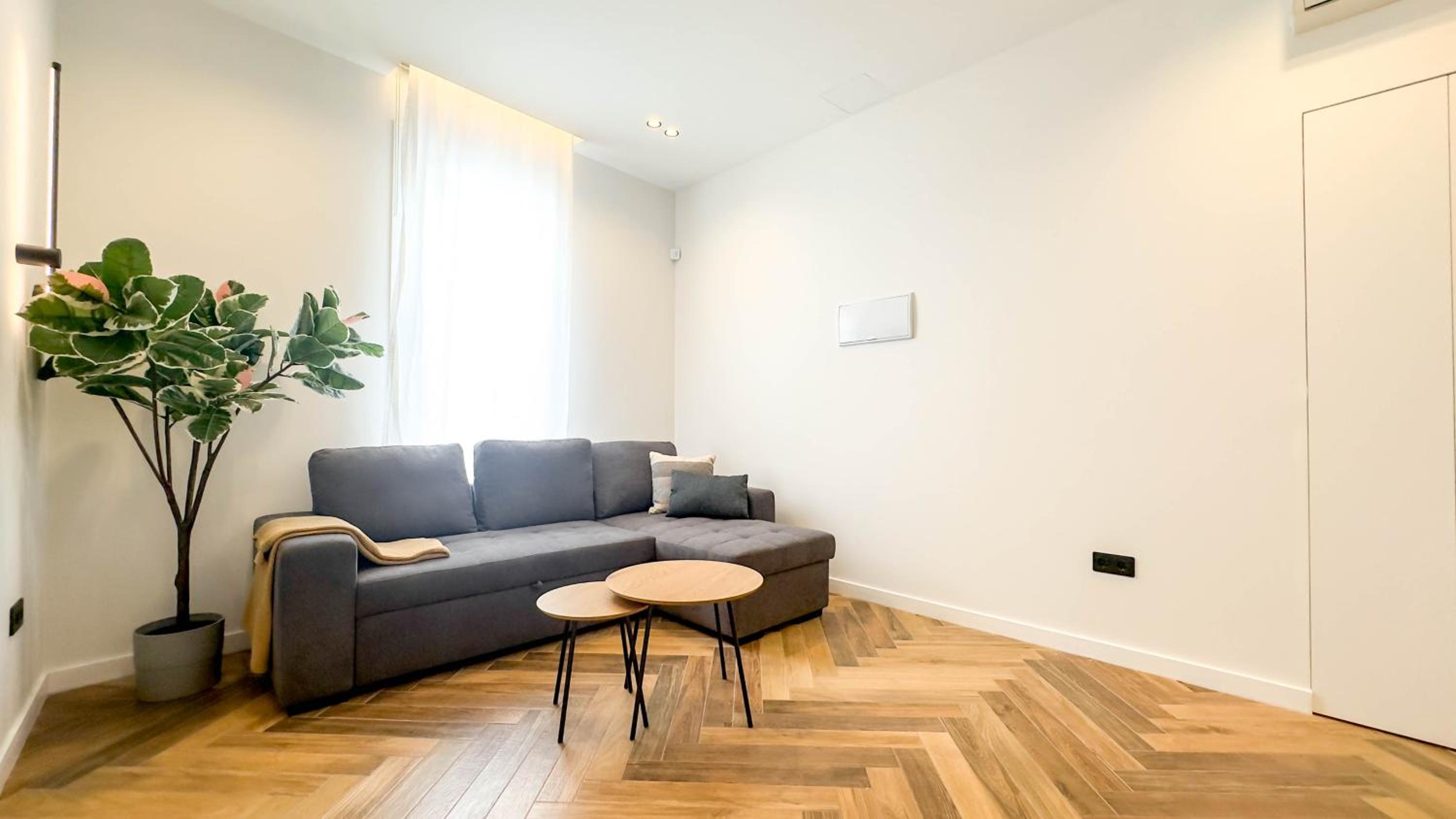 Deluxe One-Bedroom Apartment photo 3