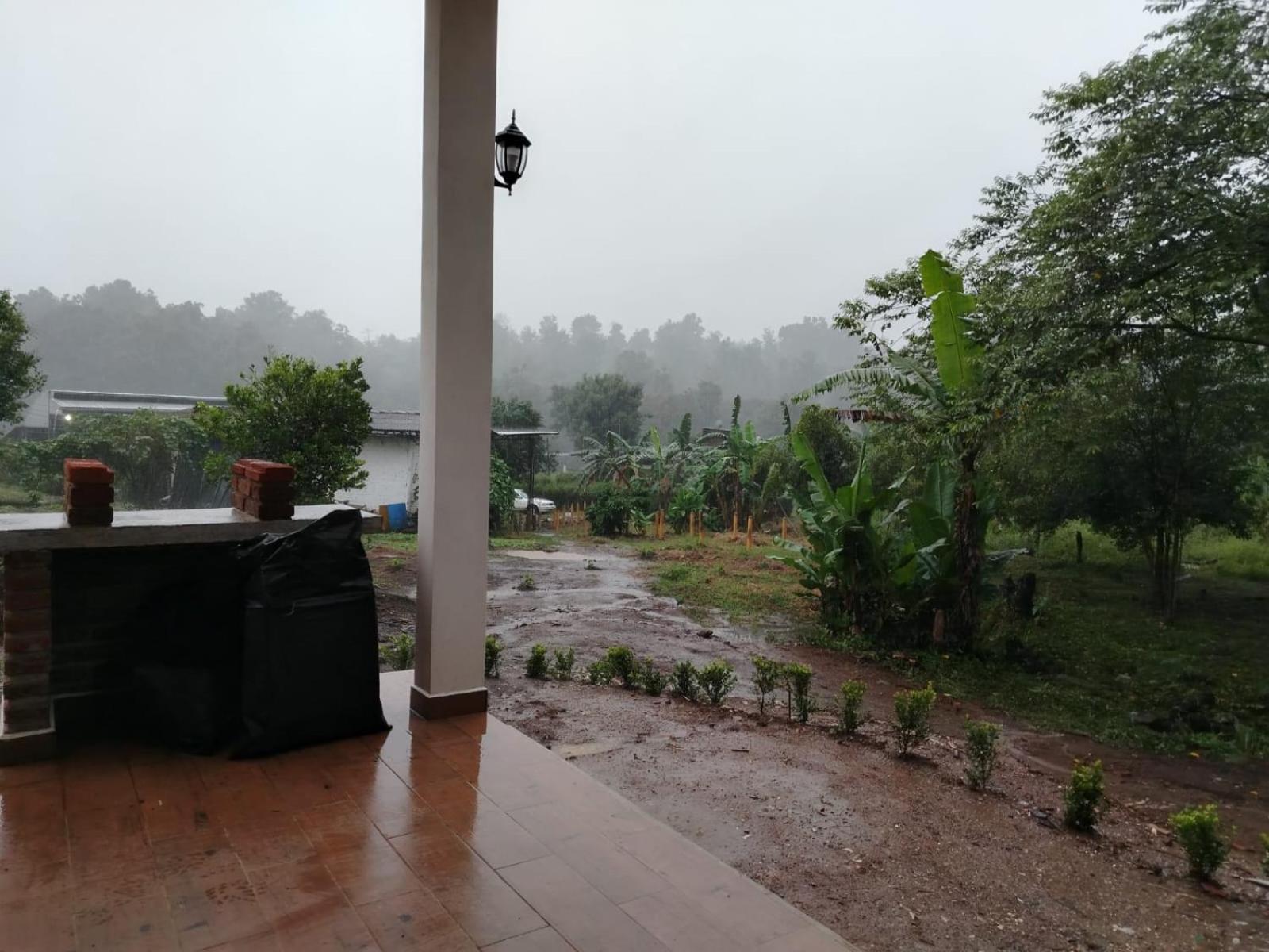 Deluxe Bungalow - Photo 17
