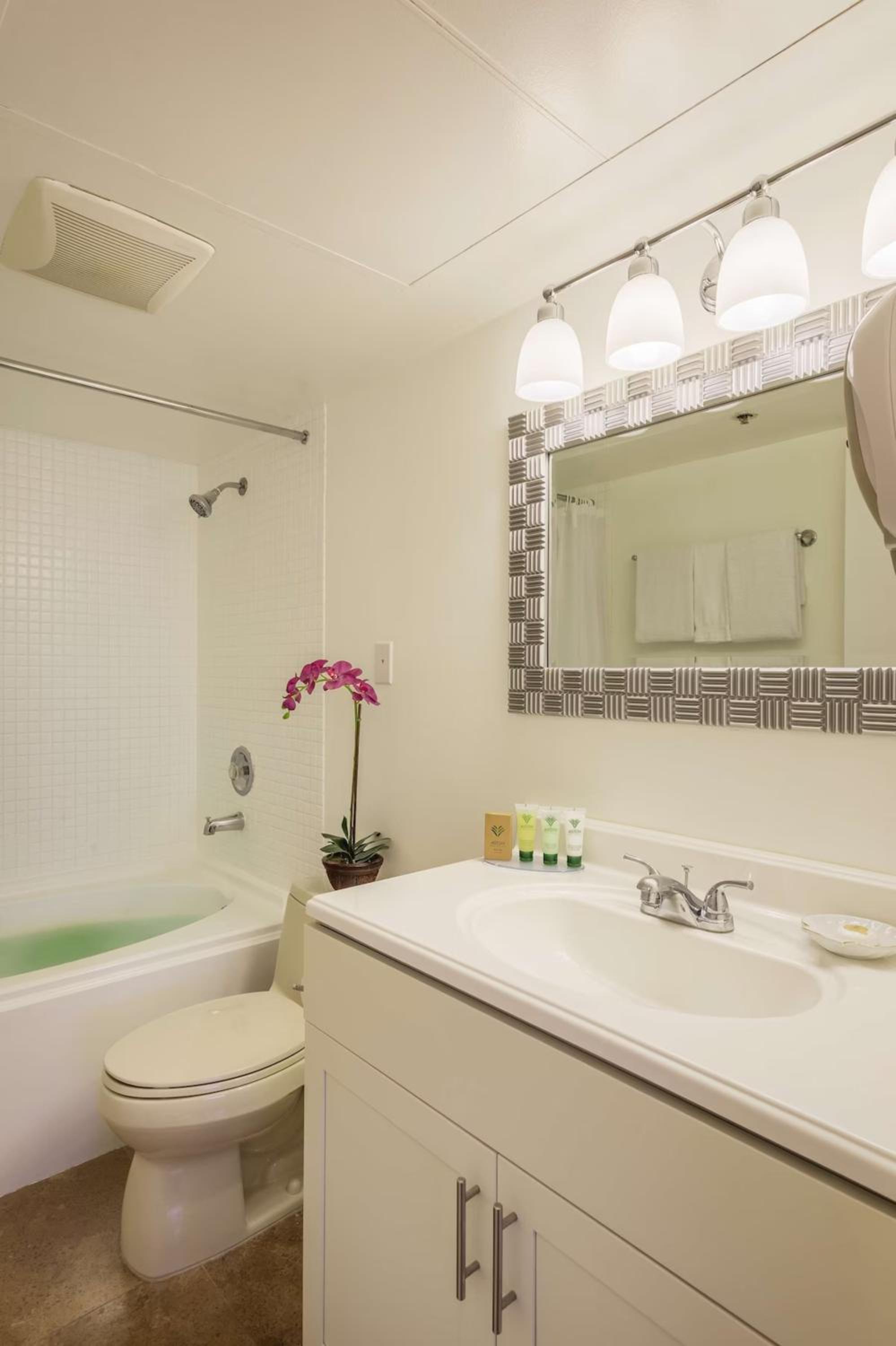 Suite with Mountain View - Photo 3