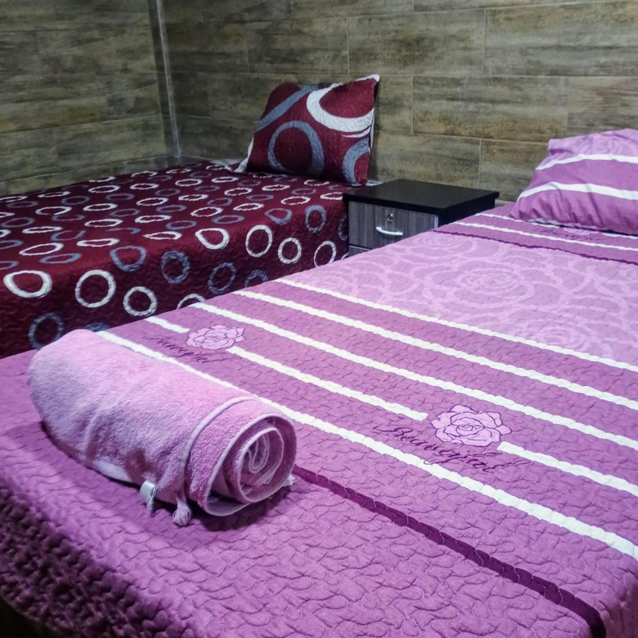 Comfort Quadruple Room photo 2